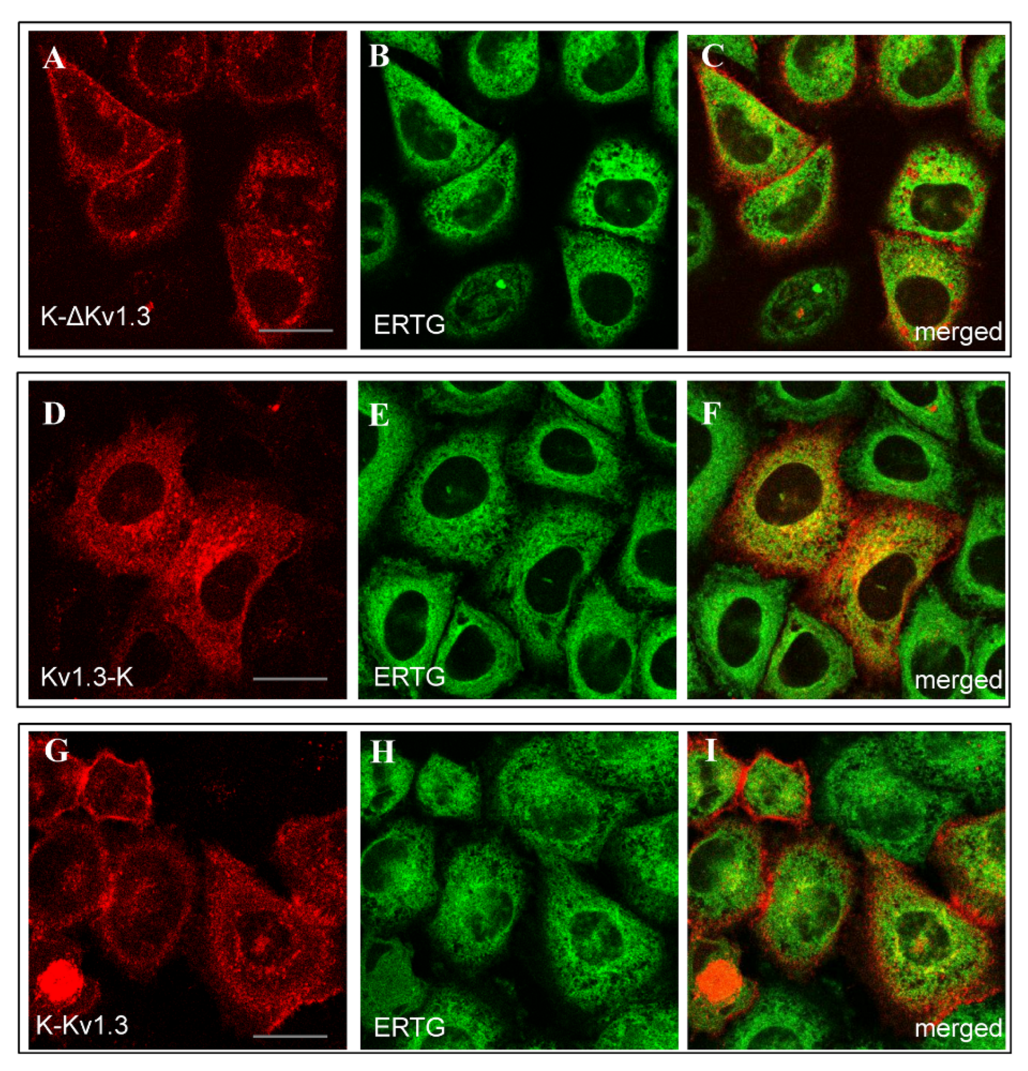 Toxins 14 00858 g003 Toxins 14 00858 g003