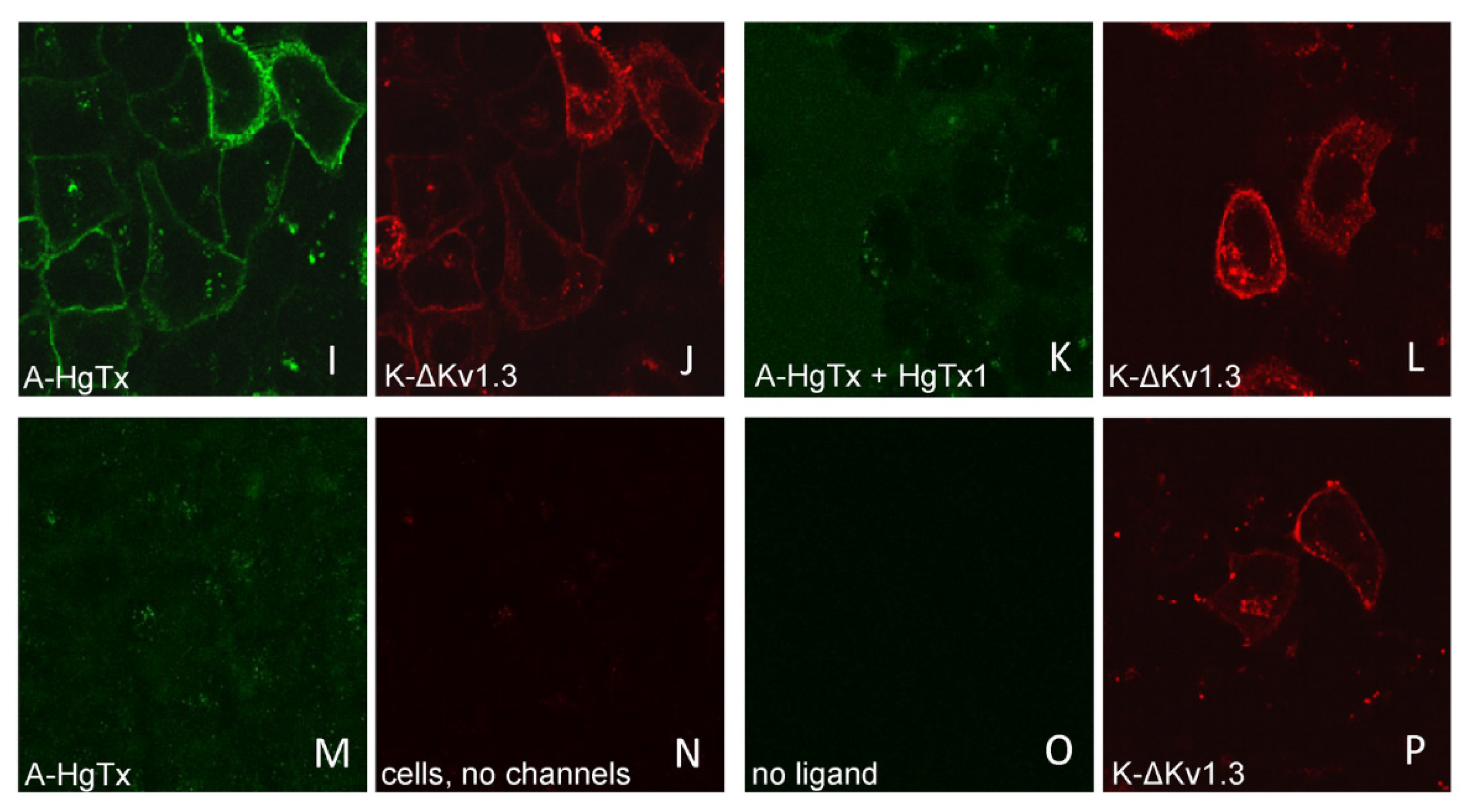 Toxins 14 00858 g004b Toxins 14 00858 g004b