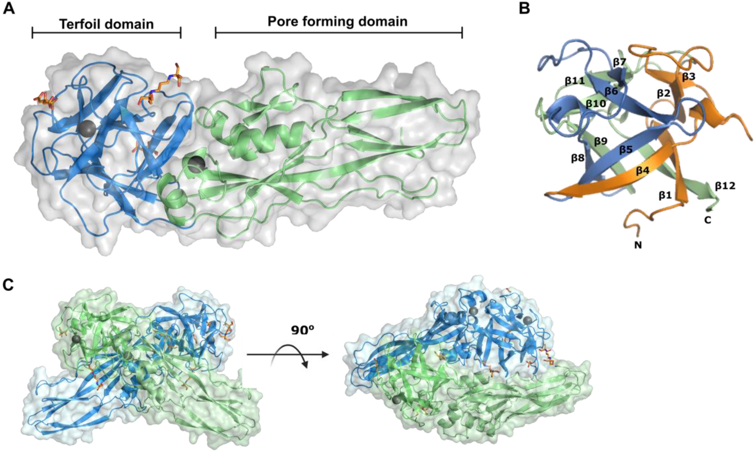 Toxins 14 00863 g002 Toxins 14 00863 g002