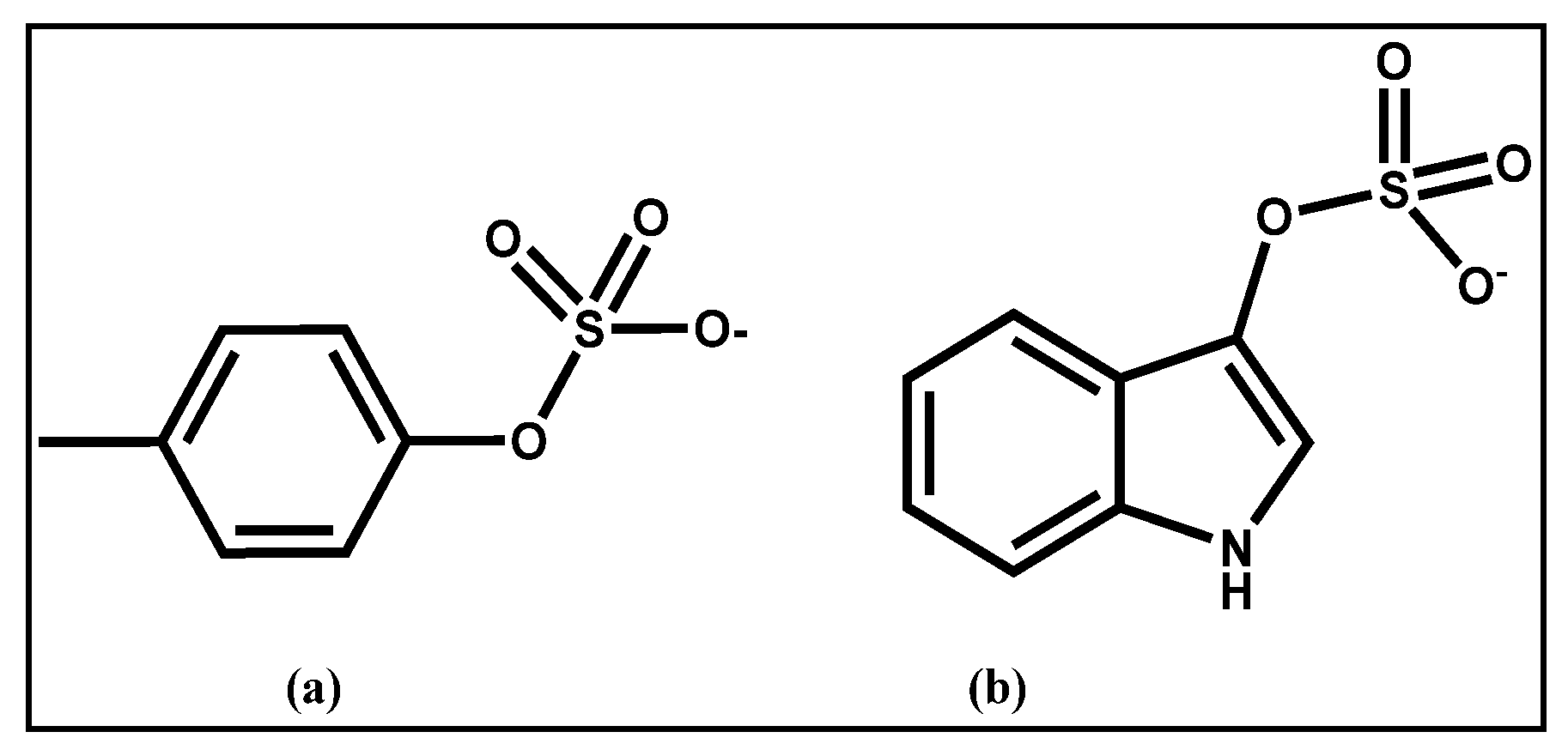Toxins 14 00864 g001 Toxins 14 00864 g001