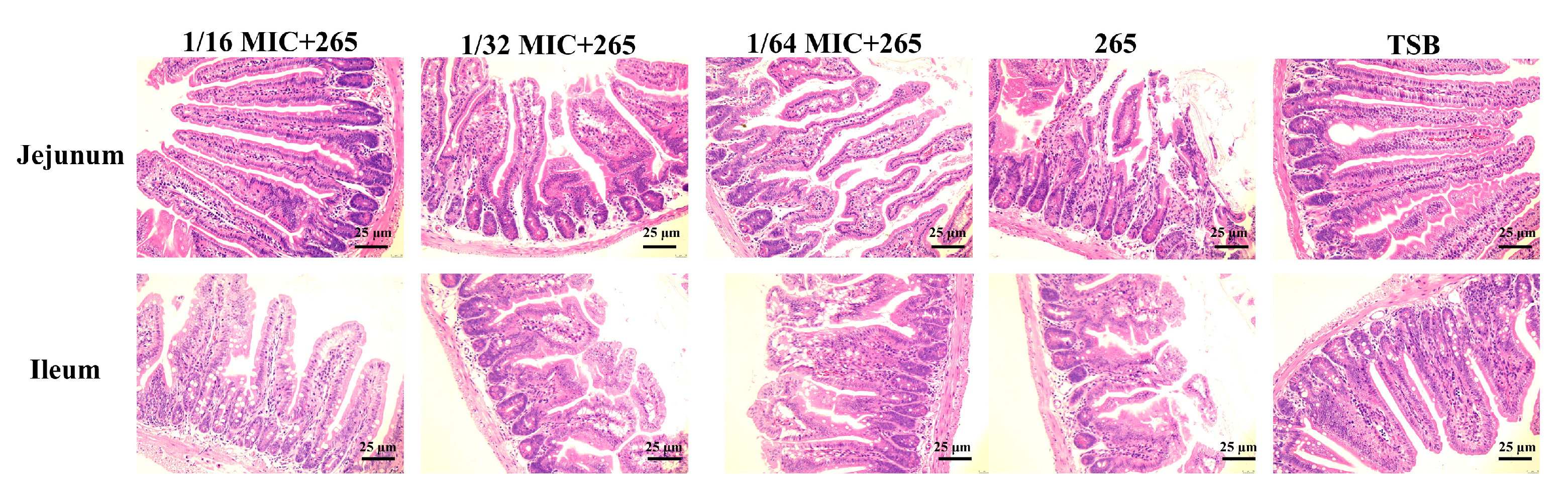 Toxins 14 00867 g003