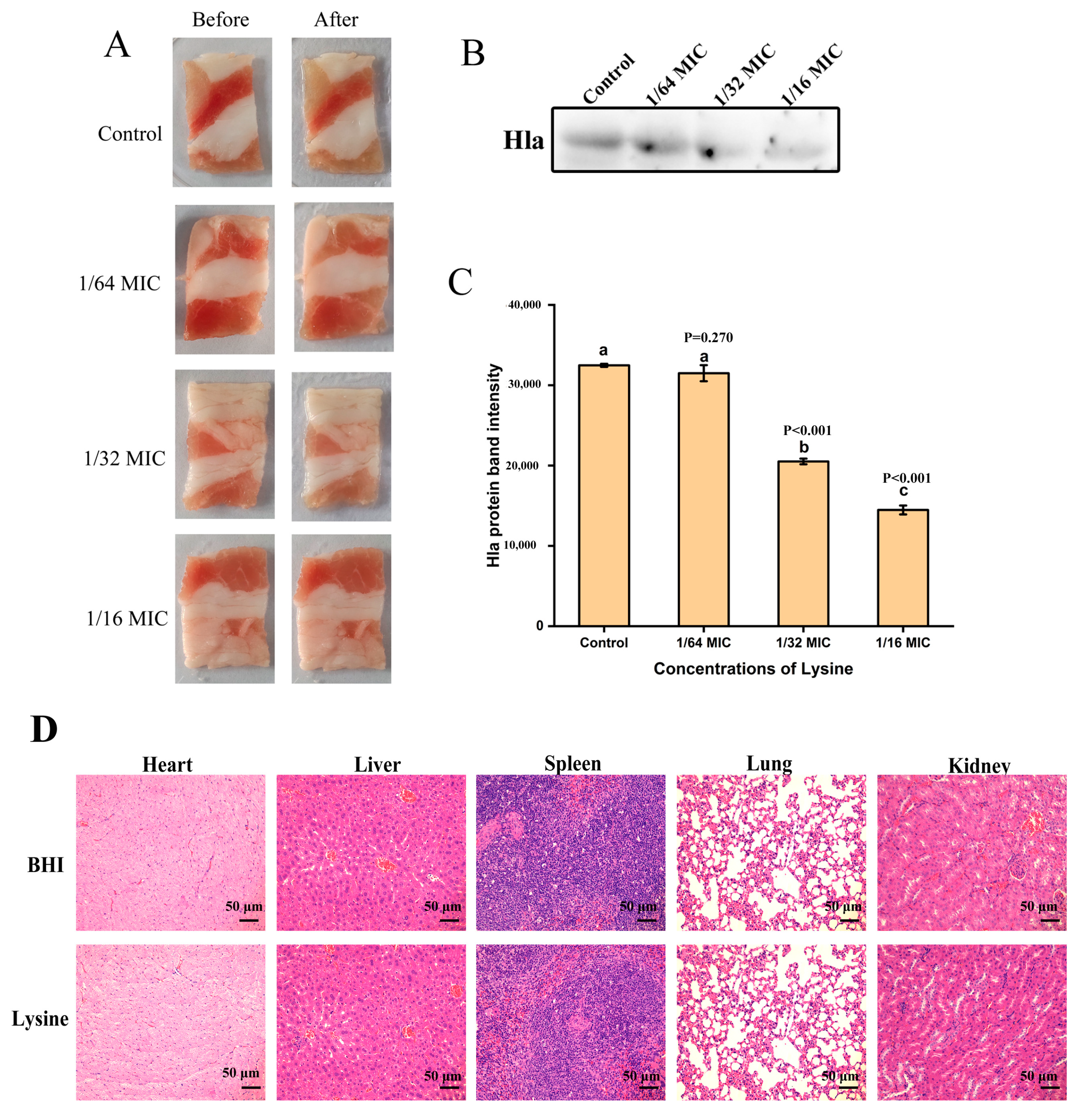 Toxins 14 00867 g006