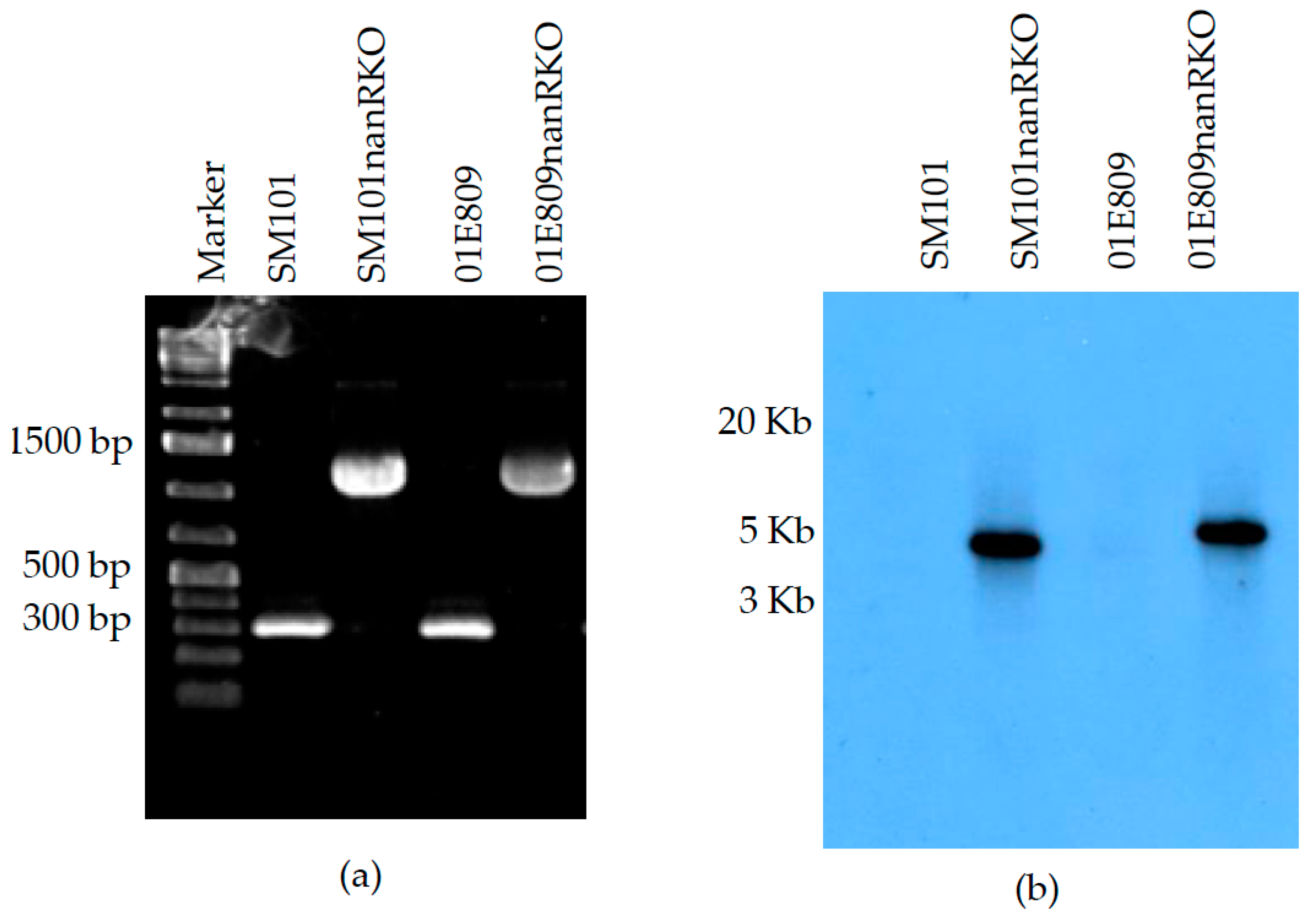 Toxins 14 00872 g001 Toxins 14 00872 g001