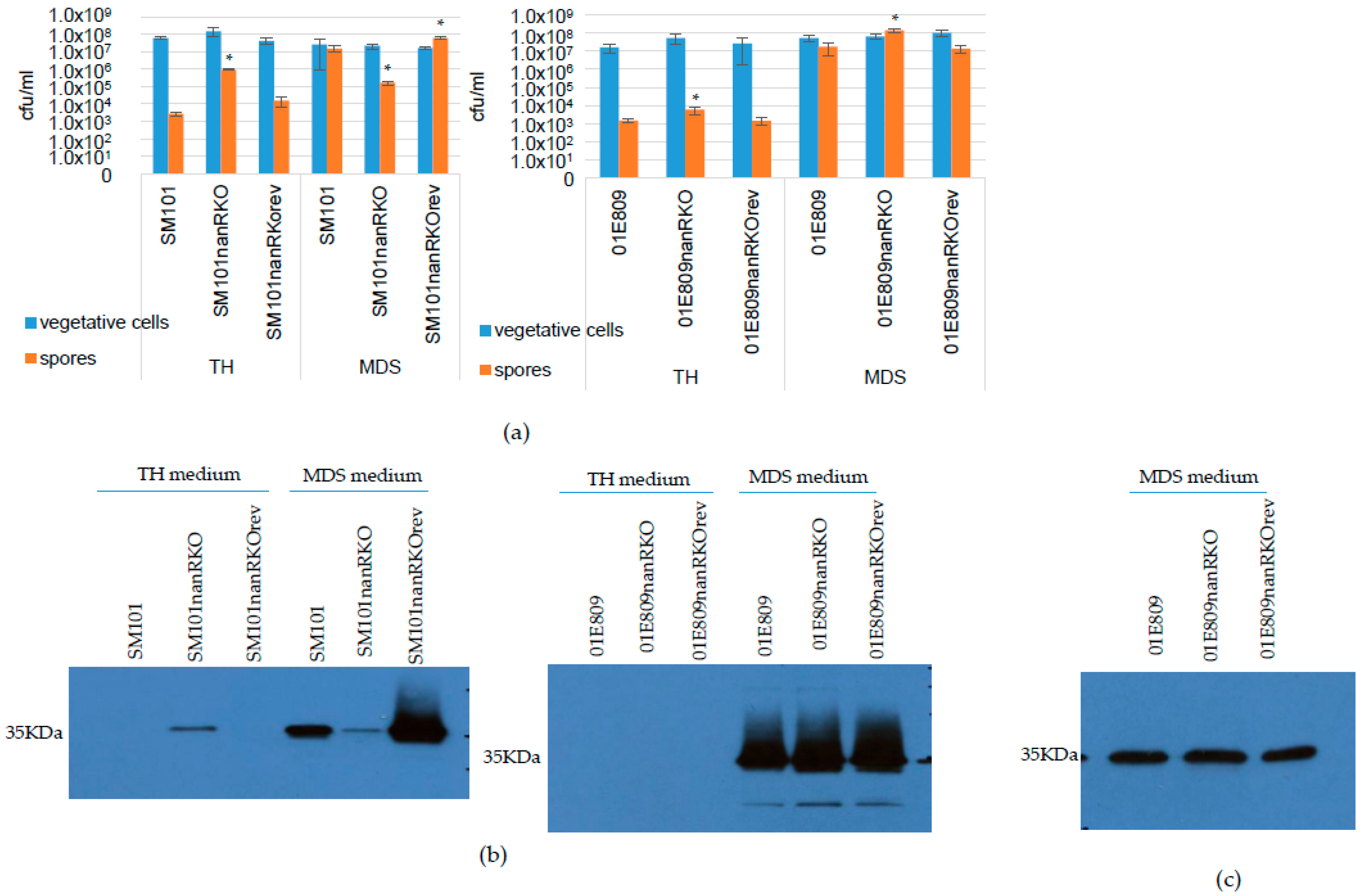 Toxins 14 00872 g006 Toxins 14 00872 g006