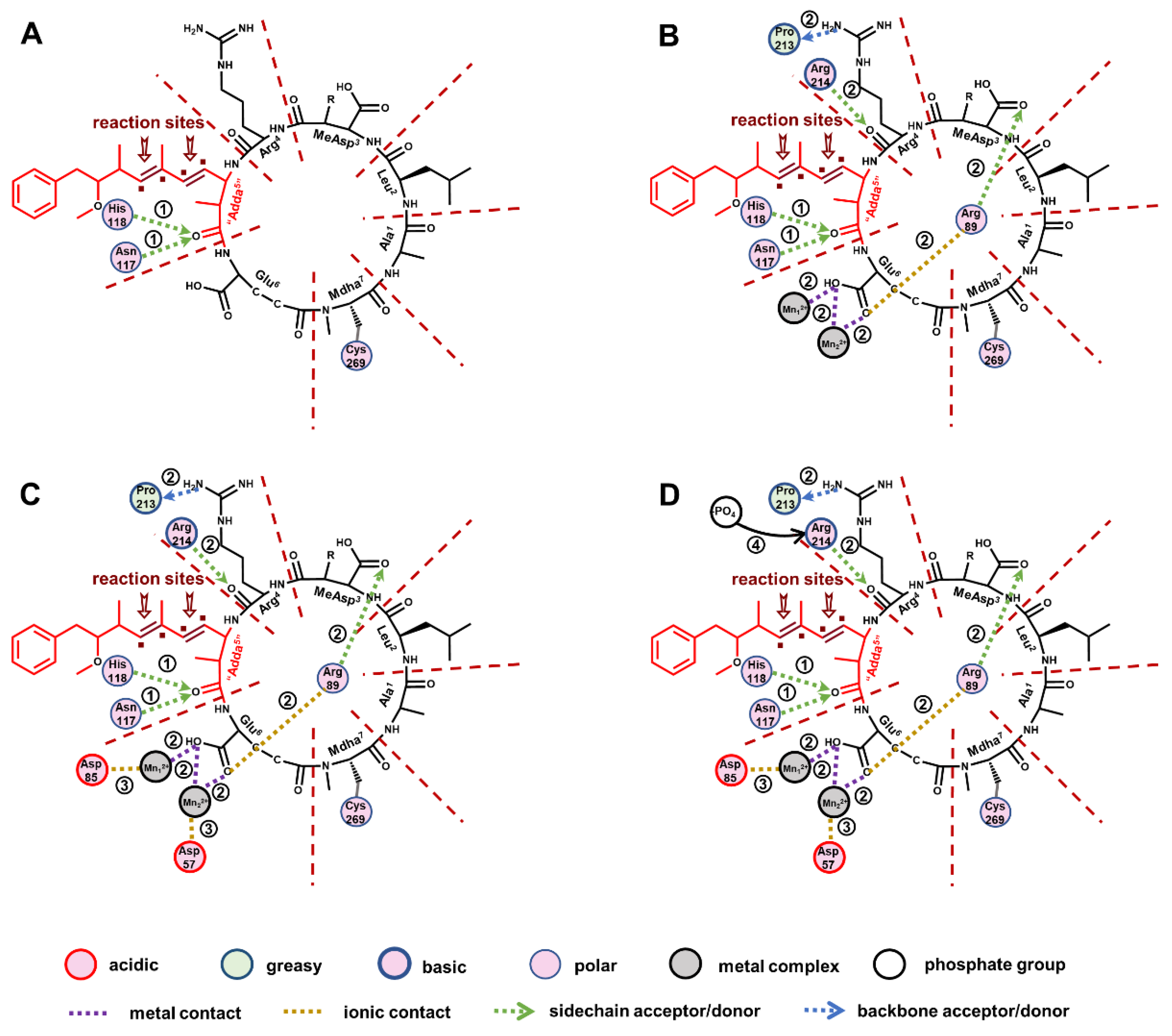 Toxins 14 00878 g008