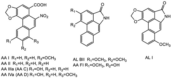 Comparative Analysis of Aristolochic Acids in Aristolochia
