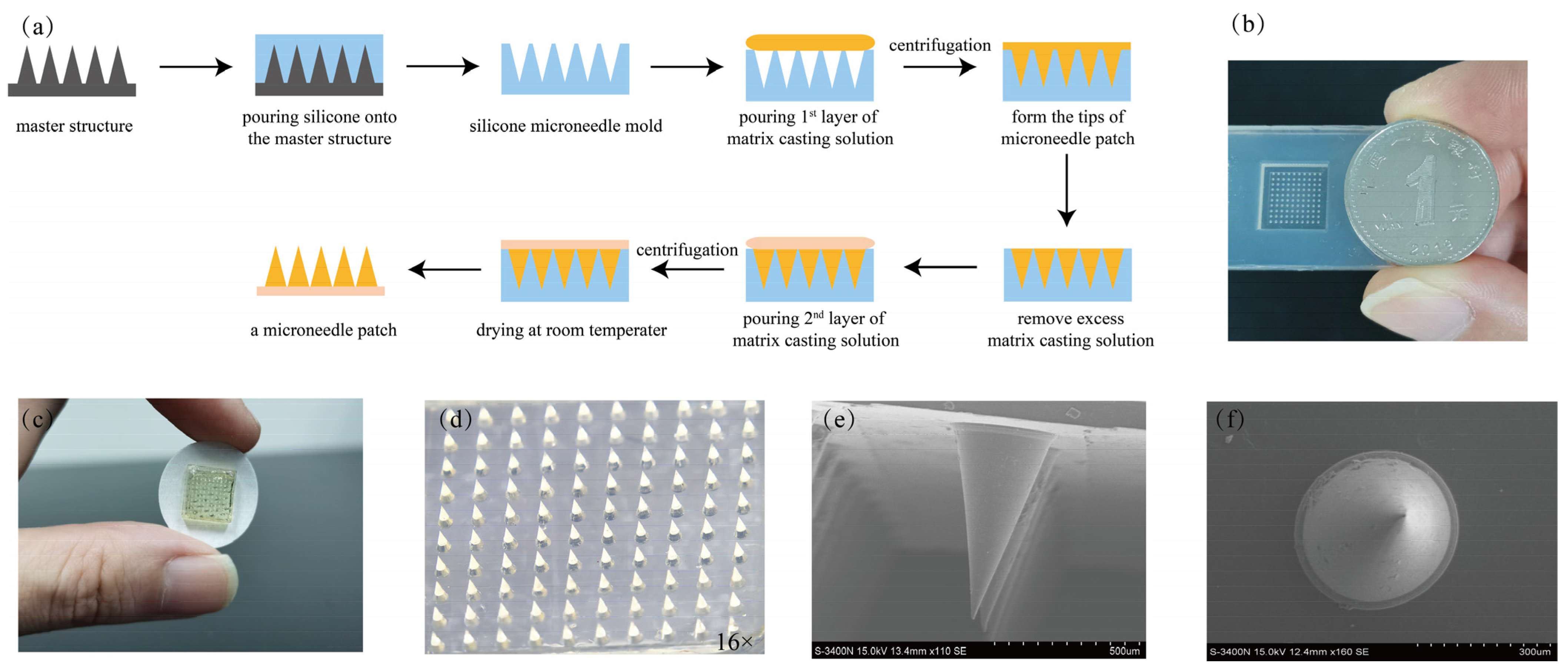 Toxins 14 00881 g002 Toxins 14 00881 g002