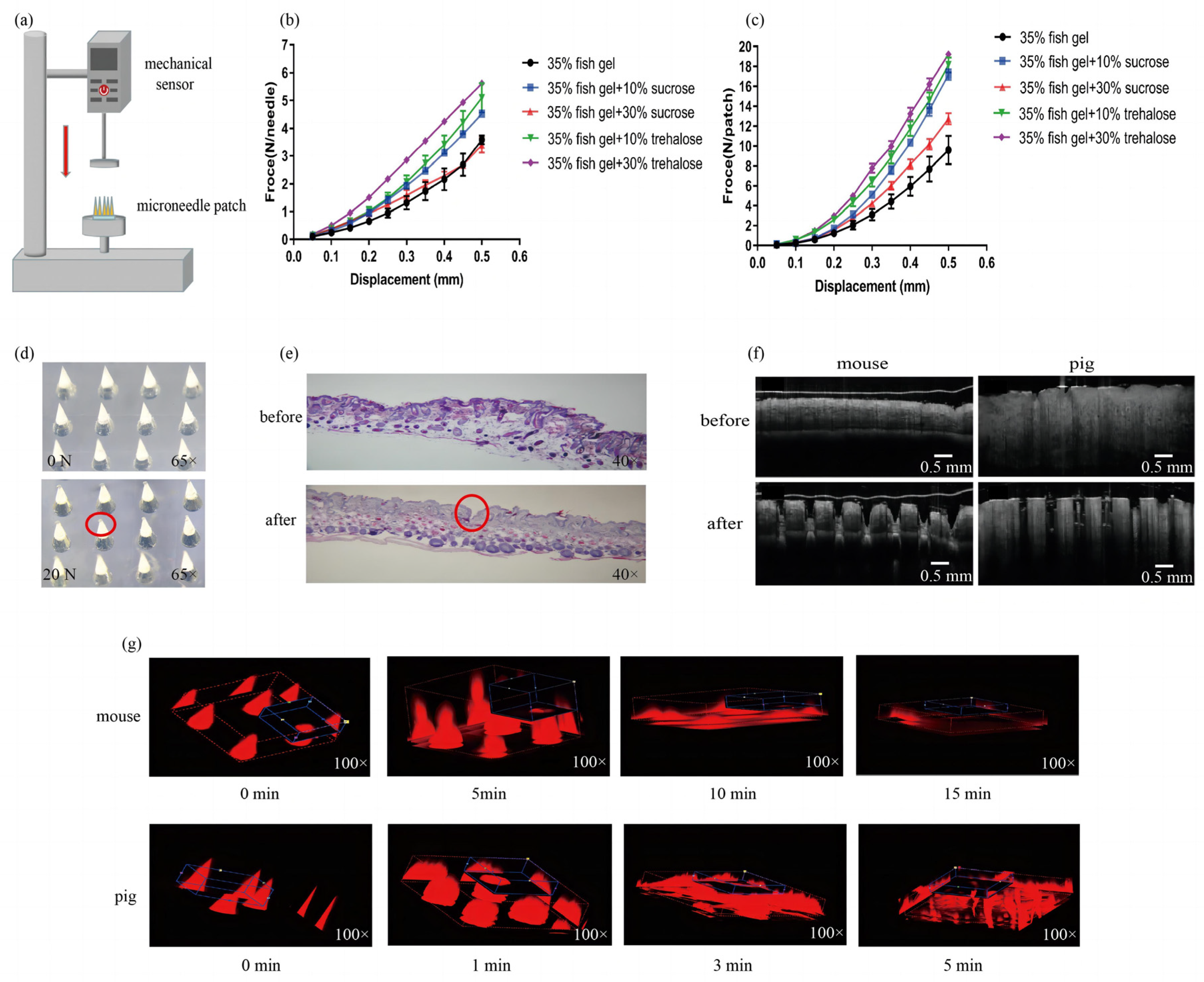 Toxins 14 00881 g003 Toxins 14 00881 g003