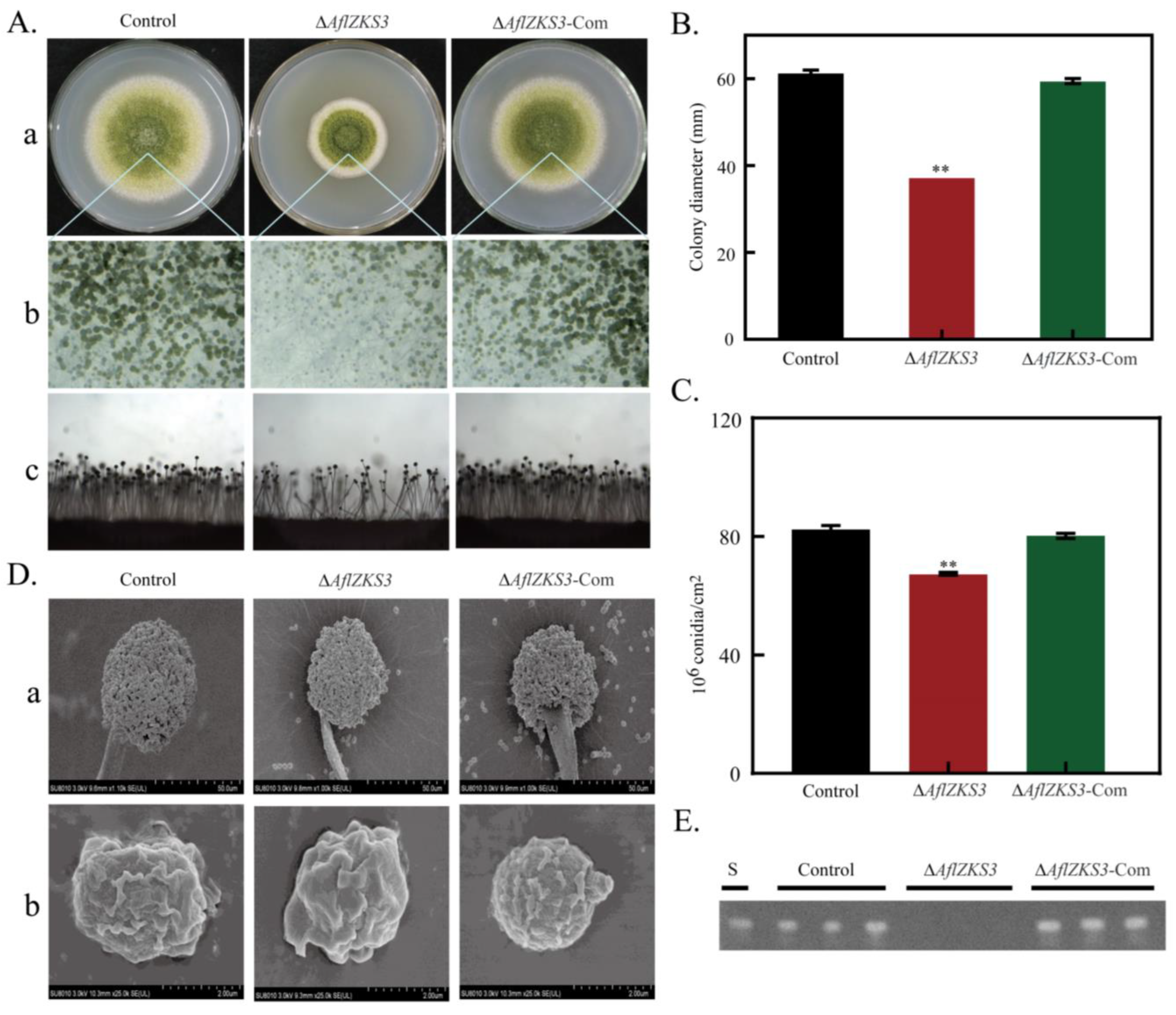 Toxins 14 00883 g002 Toxins 14 00883 g002