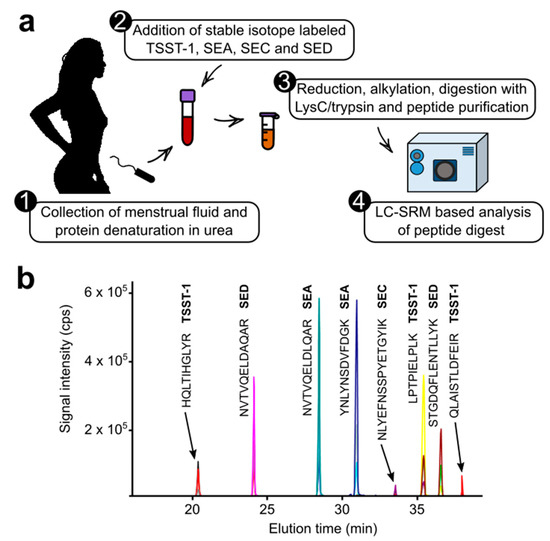 Gram-positive toxic shock syndromes - The Lancet Infectious Diseases