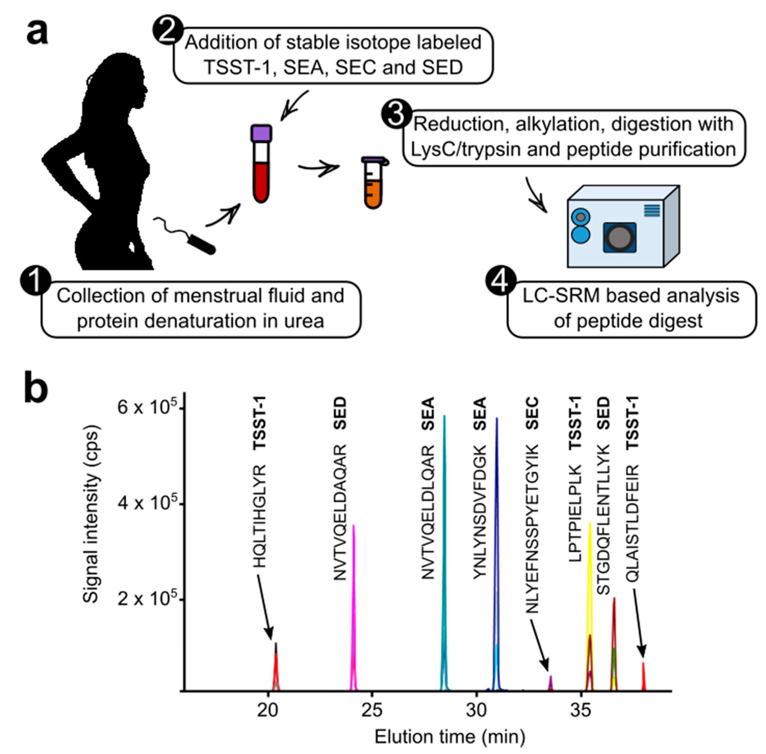 Toxic Shock Syndrome