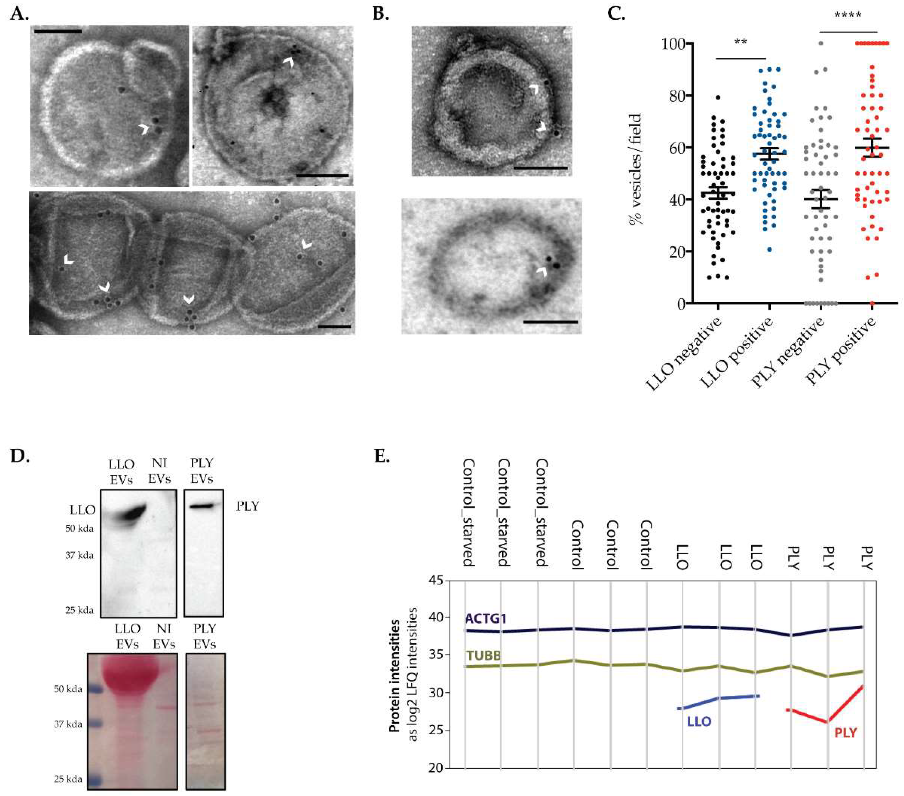 Toxins 15 00004 g004 Toxins 15 00004 g004
