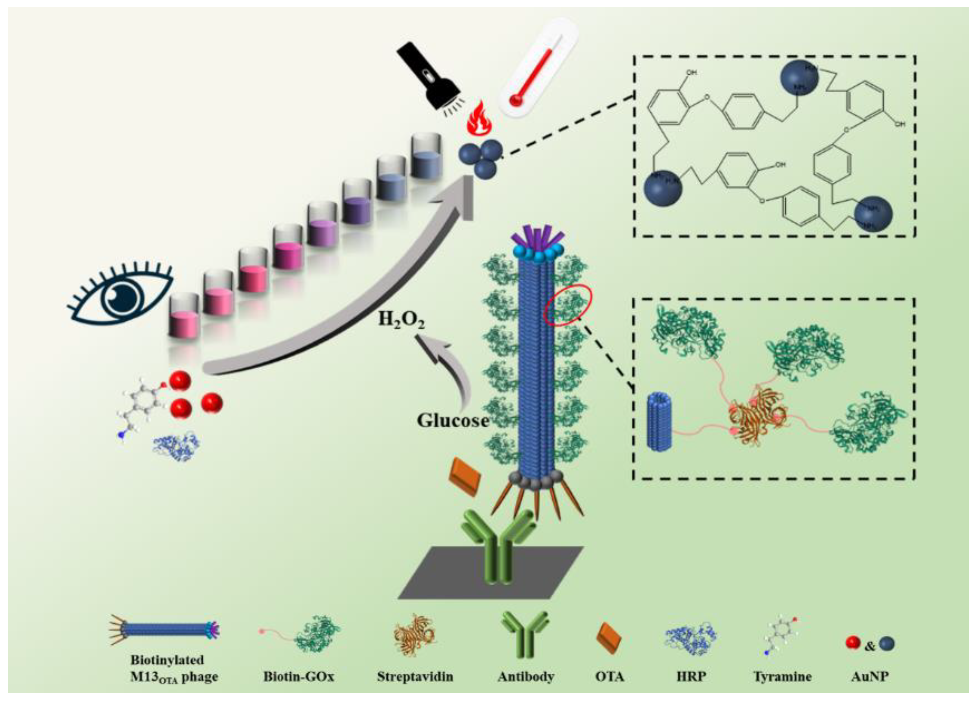 Toxins 15 00005 sch001