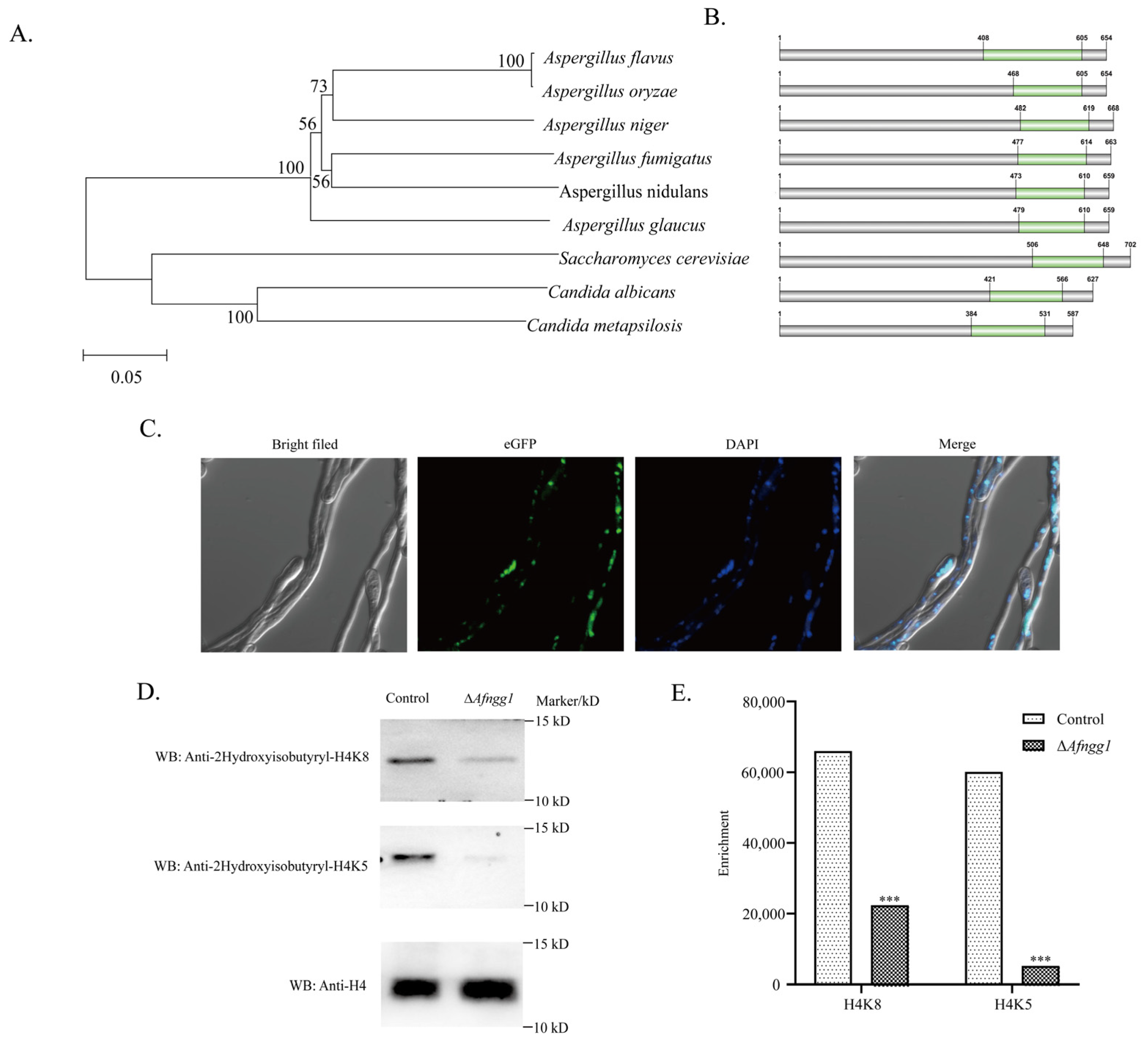 Toxins 15 00007 g001
