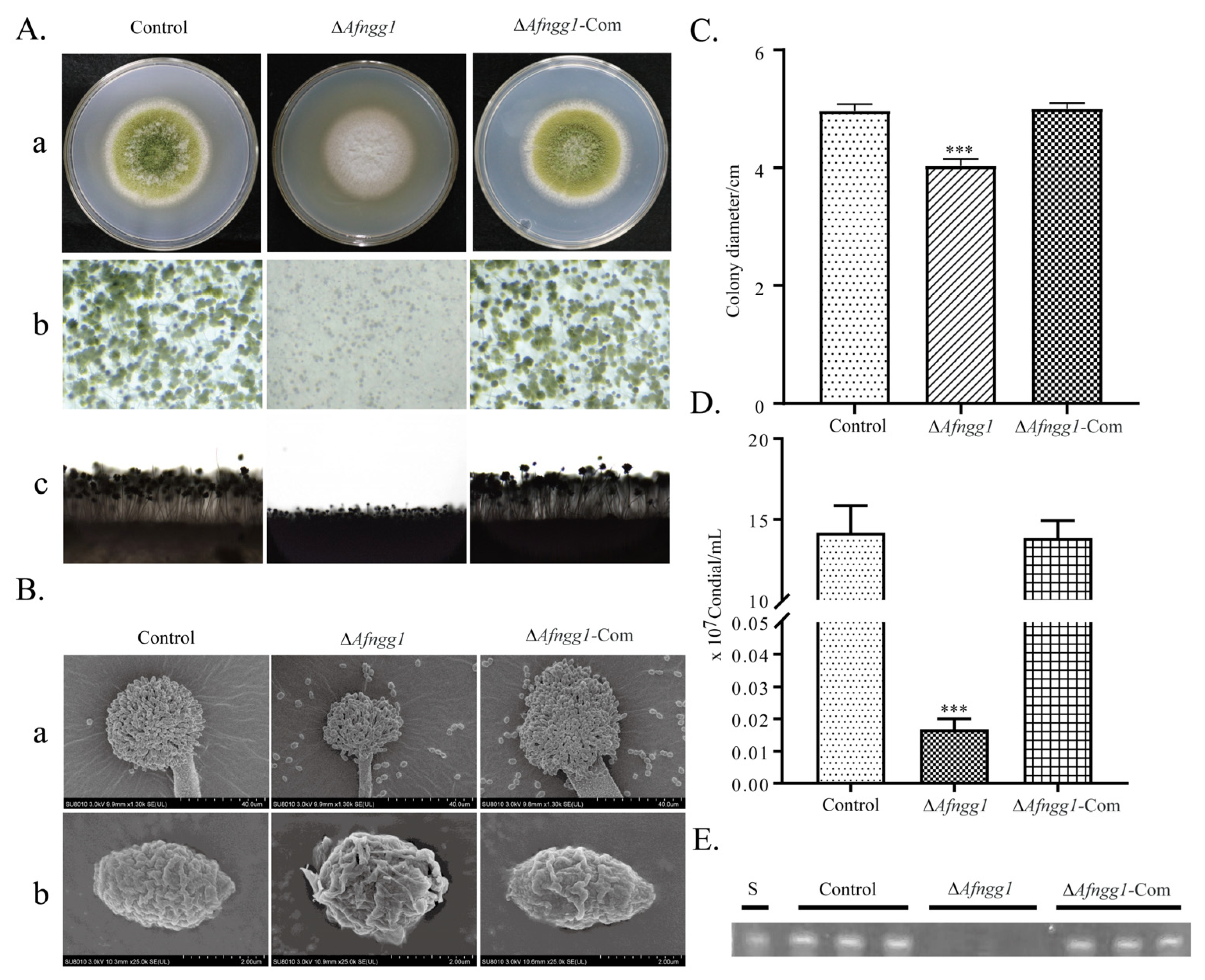 Toxins 15 00007 g002