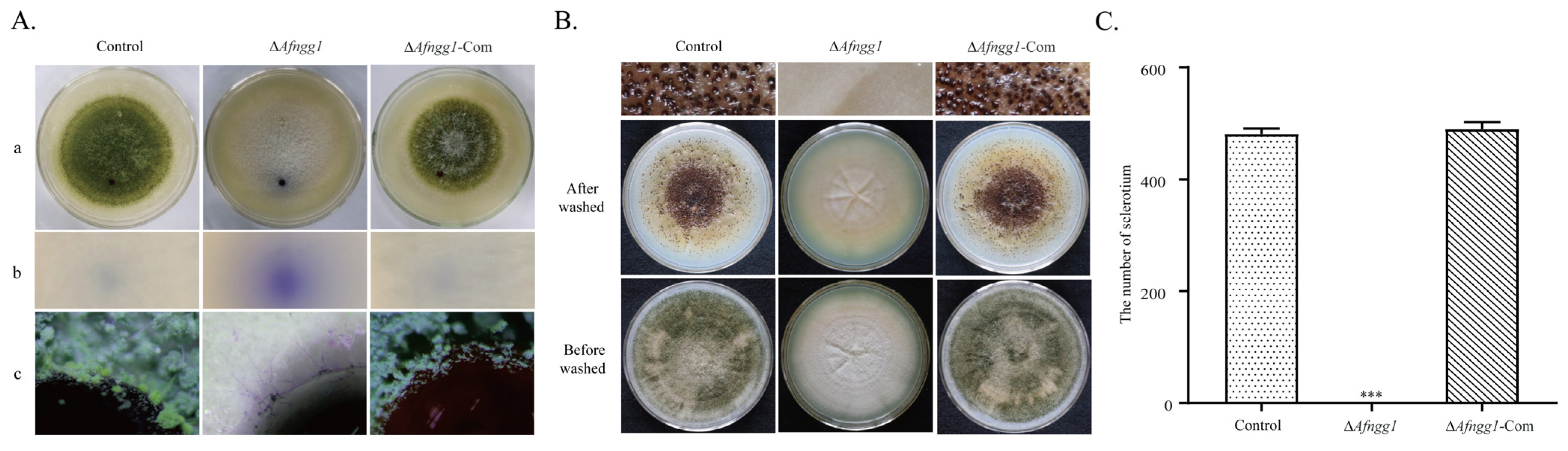 Toxins 15 00007 g003