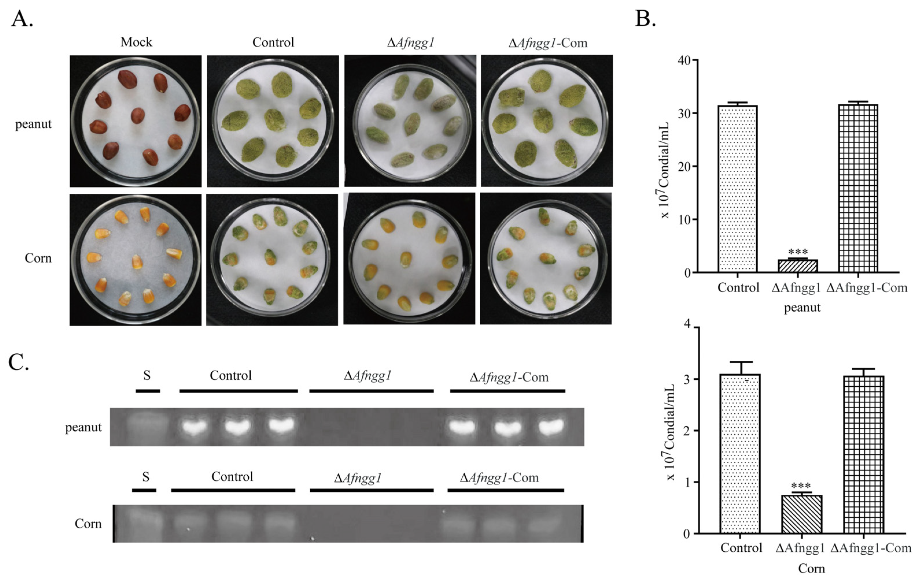 Toxins 15 00007 g004