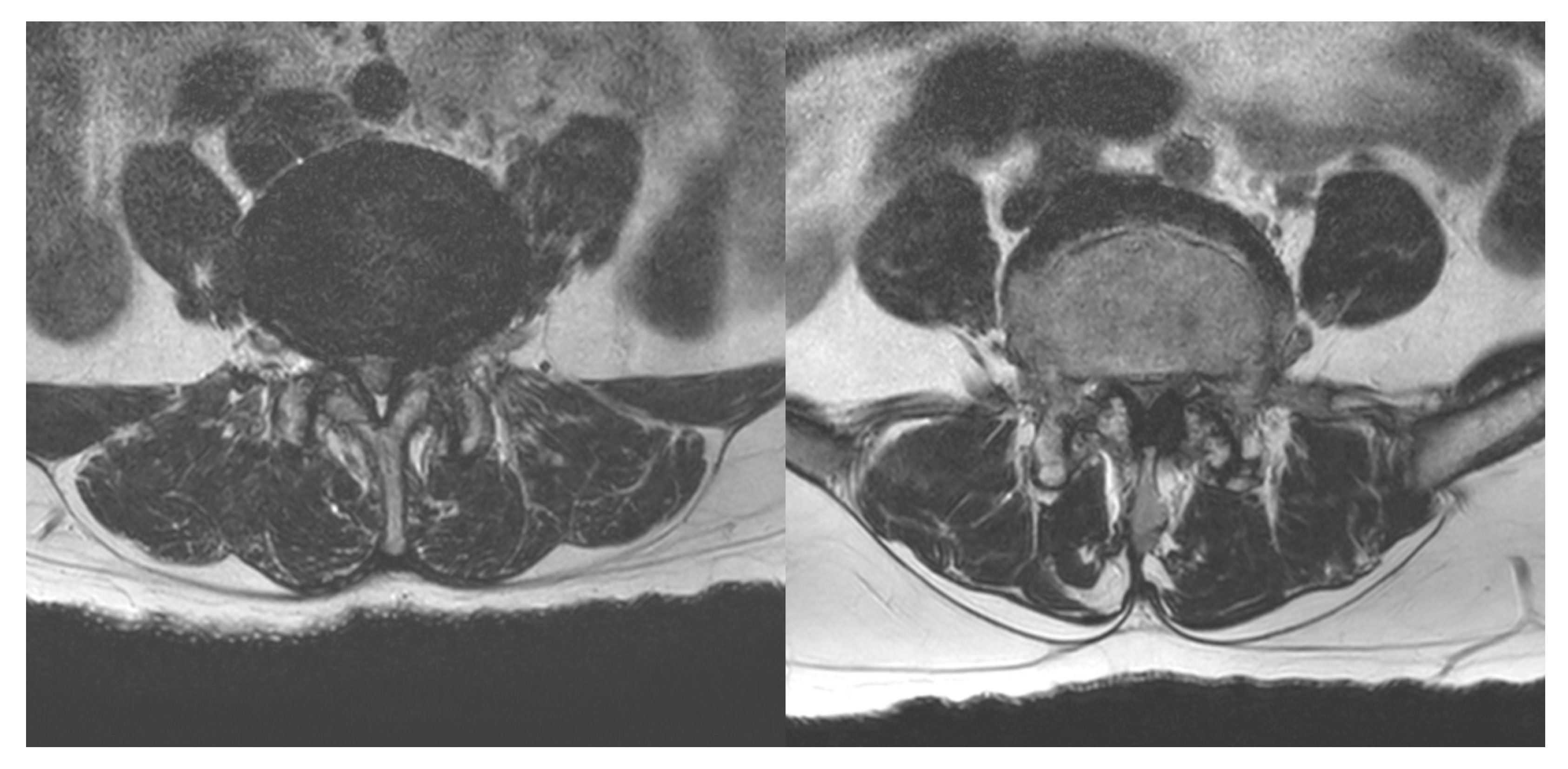 Toxins 15 00011 g003 Toxins 15 00011 g003