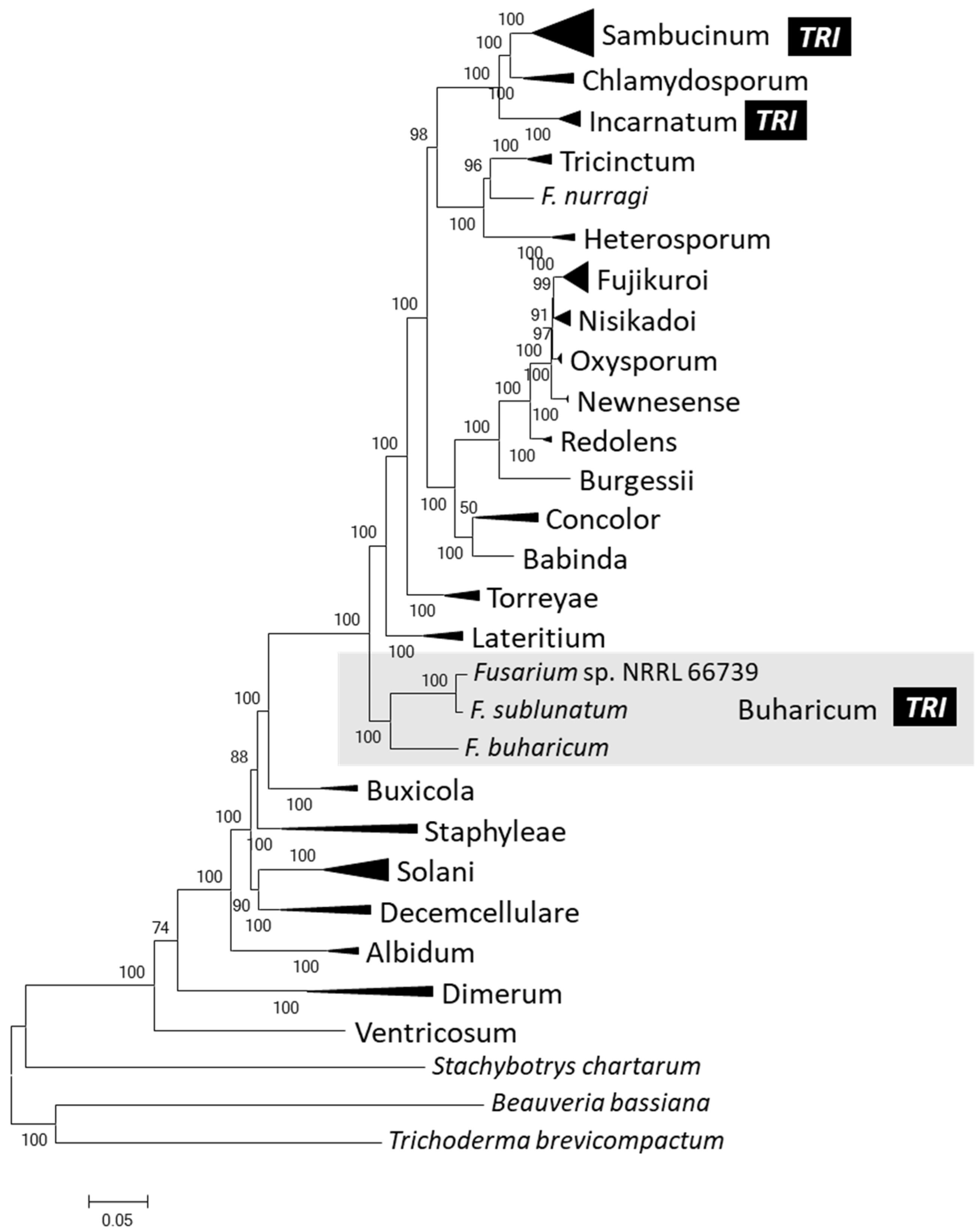 Toxins 15 00012 g005 Toxins 15 00012 g005