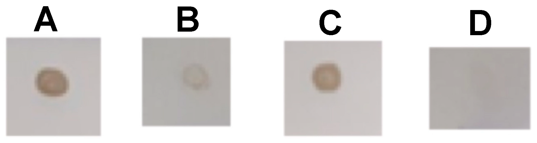 Toxins 15 00015 g004