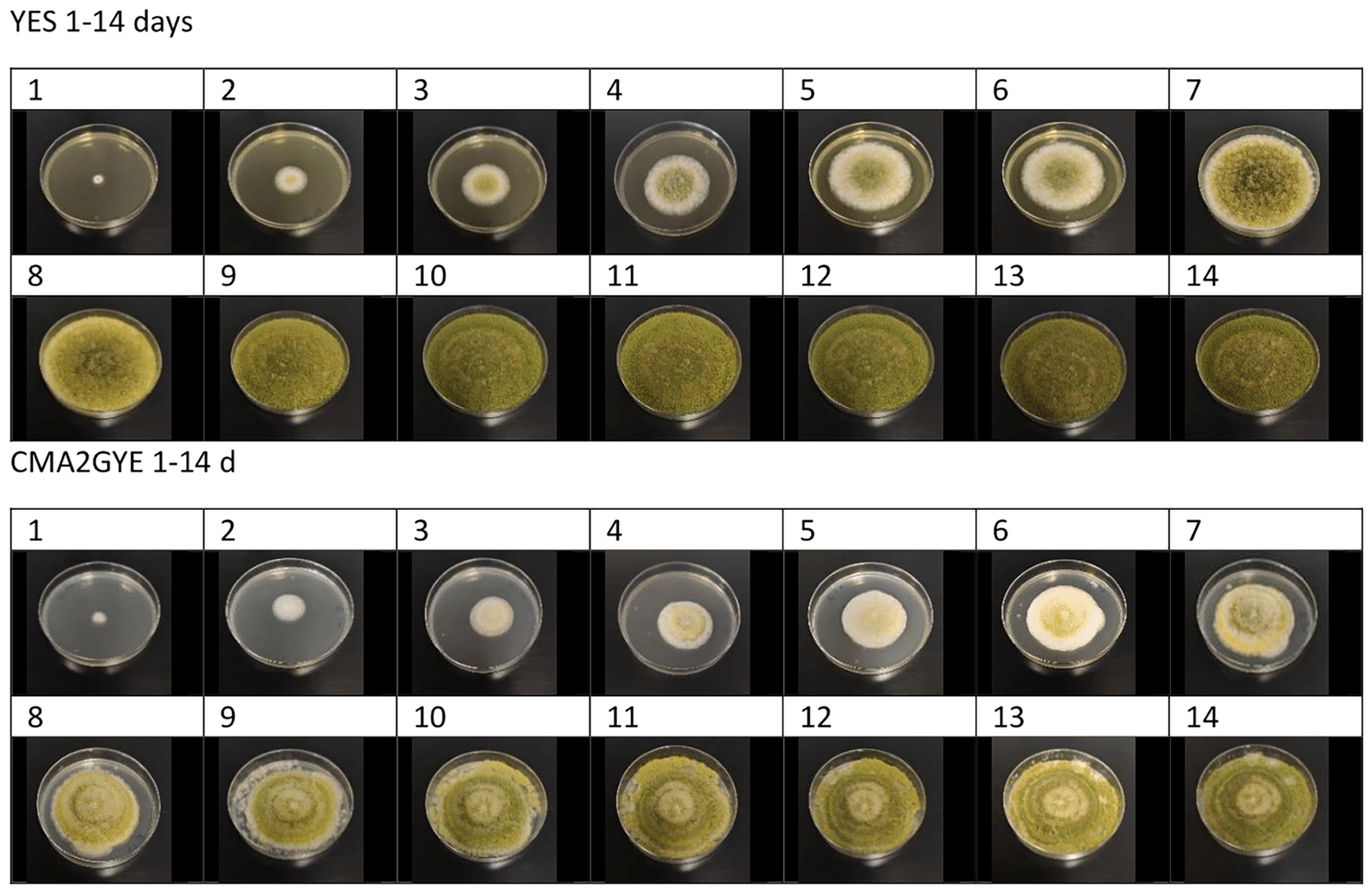 Toxins 15 00025 g002