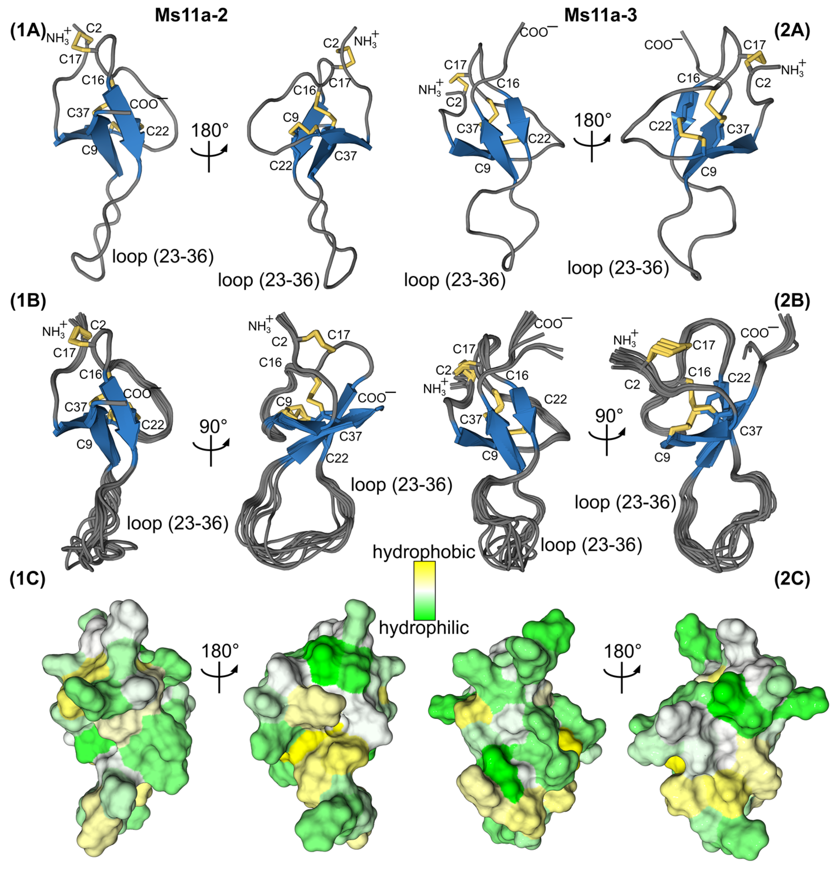 Toxins 15 00028 g007 Toxins 15 00028 g007