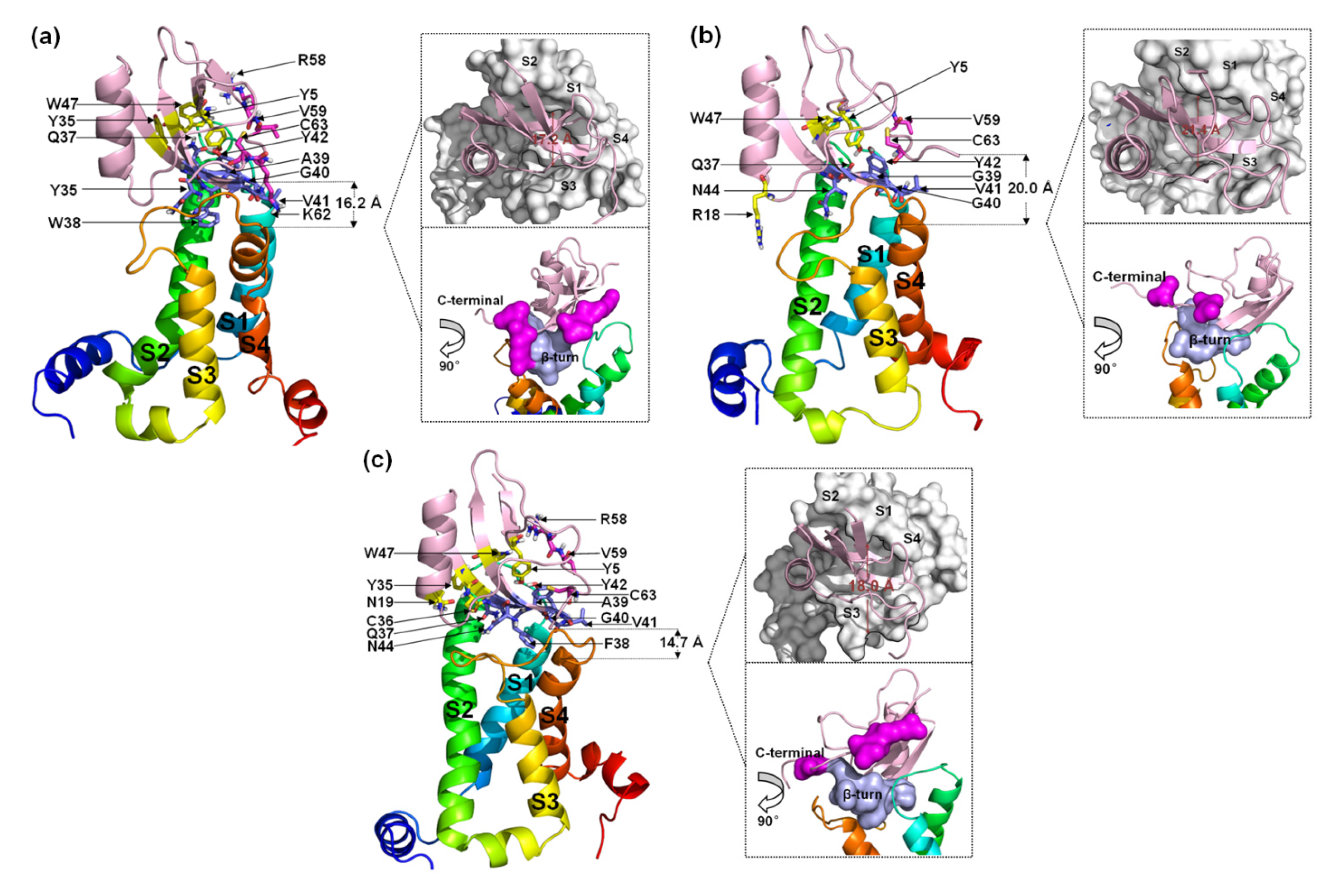 Toxins 15 00033 g007 Toxins 15 00033 g007