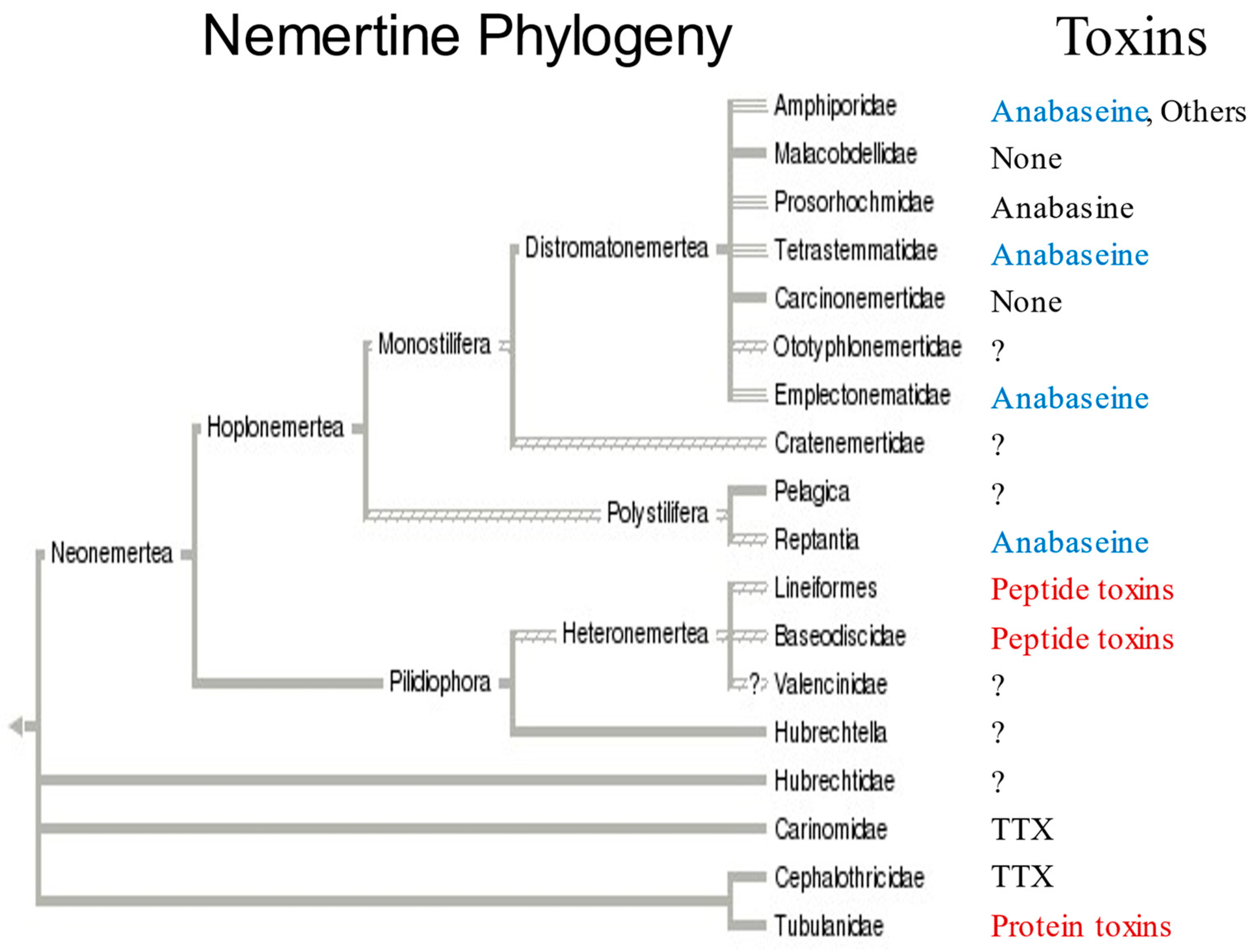 Toxins 15 00046 g006