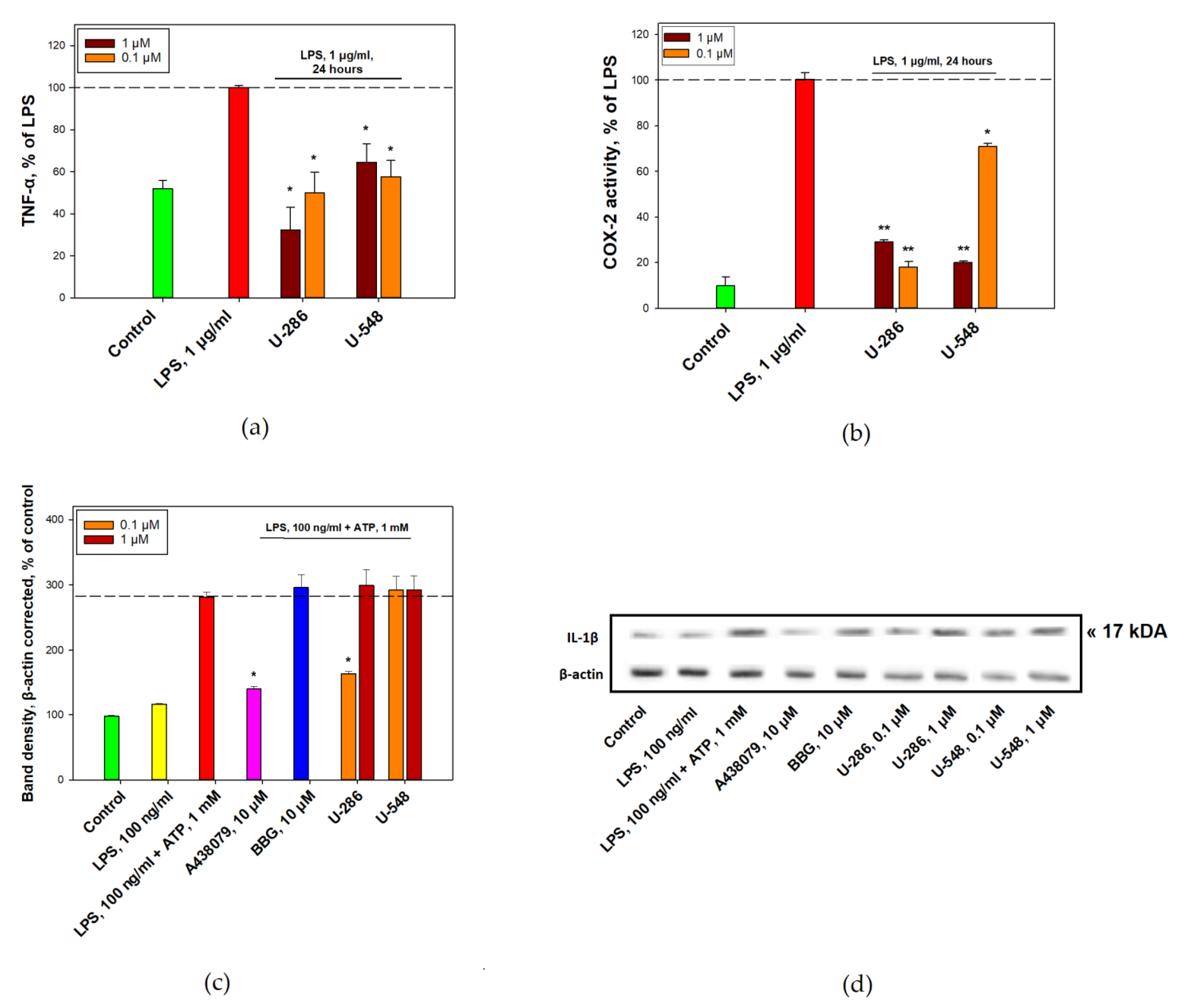 Toxins 15 00047 g006