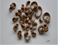 Toxins 15 00052 i001