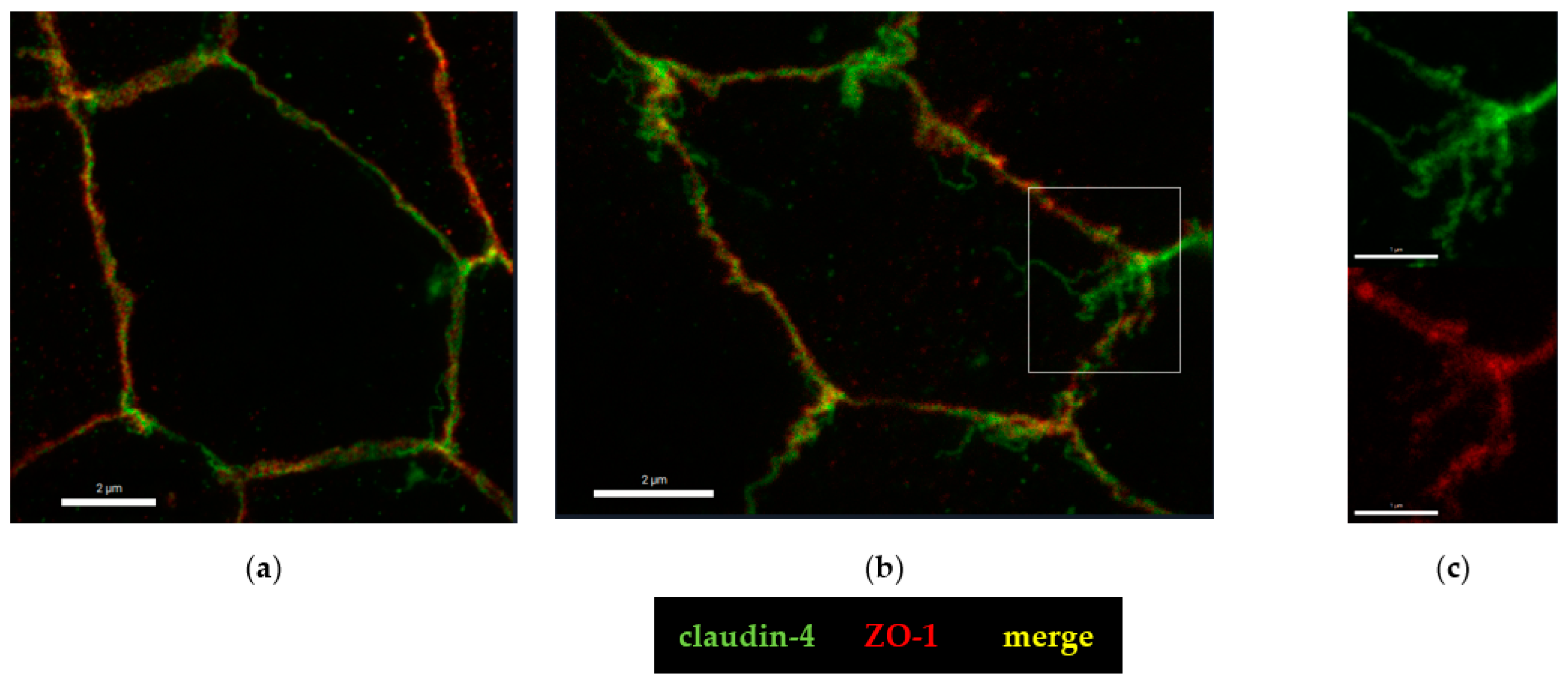 Toxins 15 00054 g006 Toxins 15 00054 g006