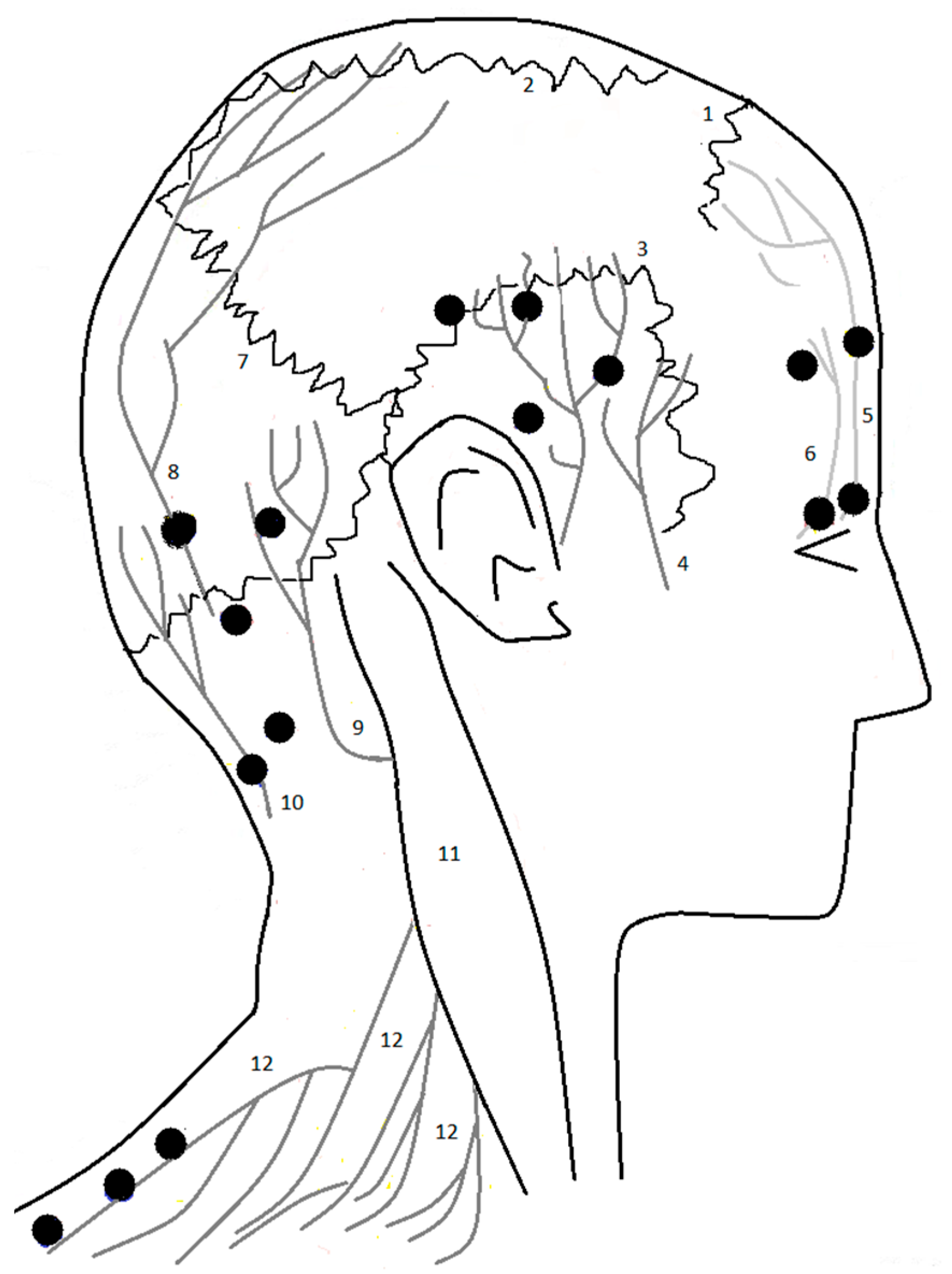 Toxins 15 00059 g001 Toxins 15 00059 g001