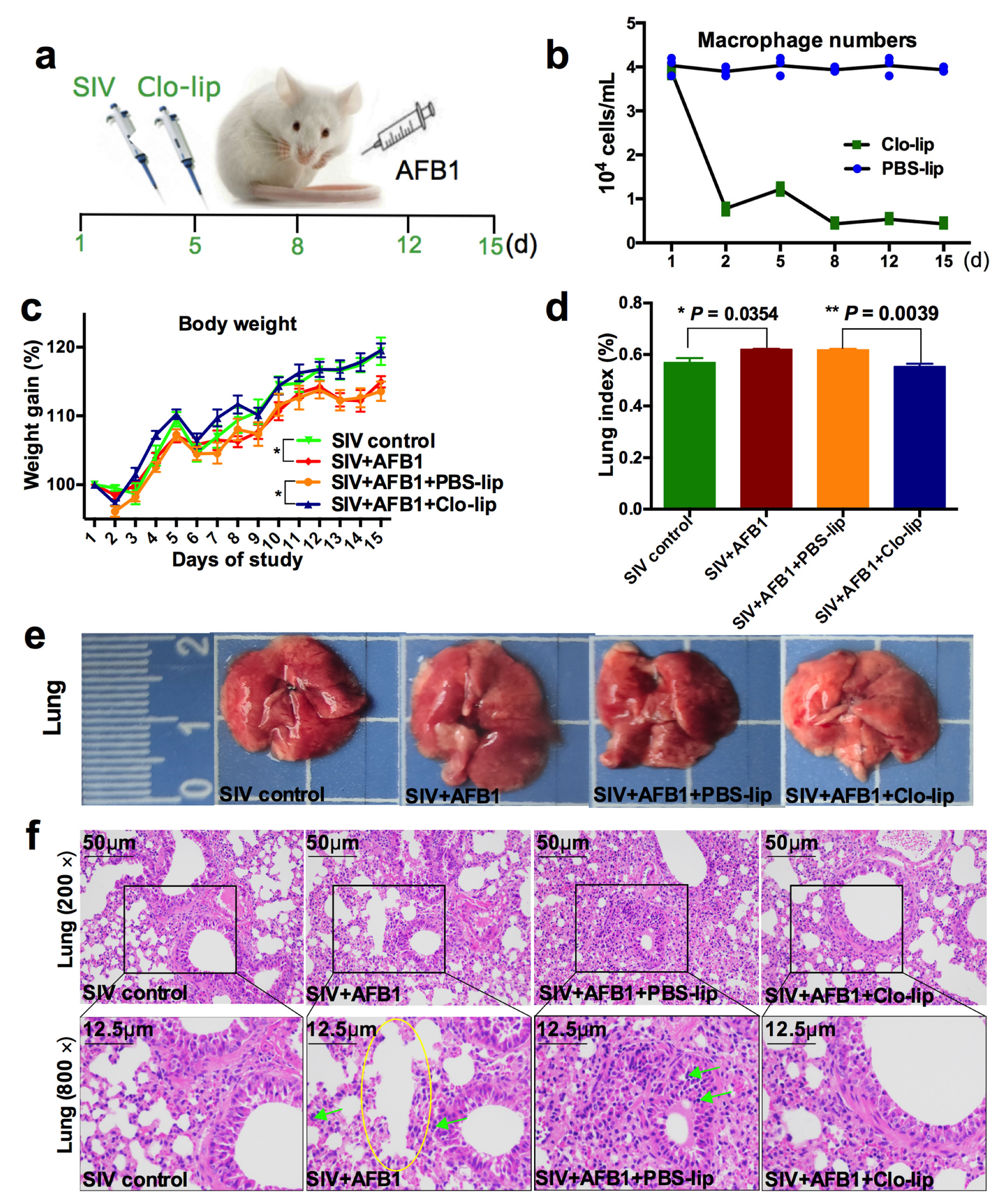 Toxins 15 00067 g001 Toxins 15 00067 g001