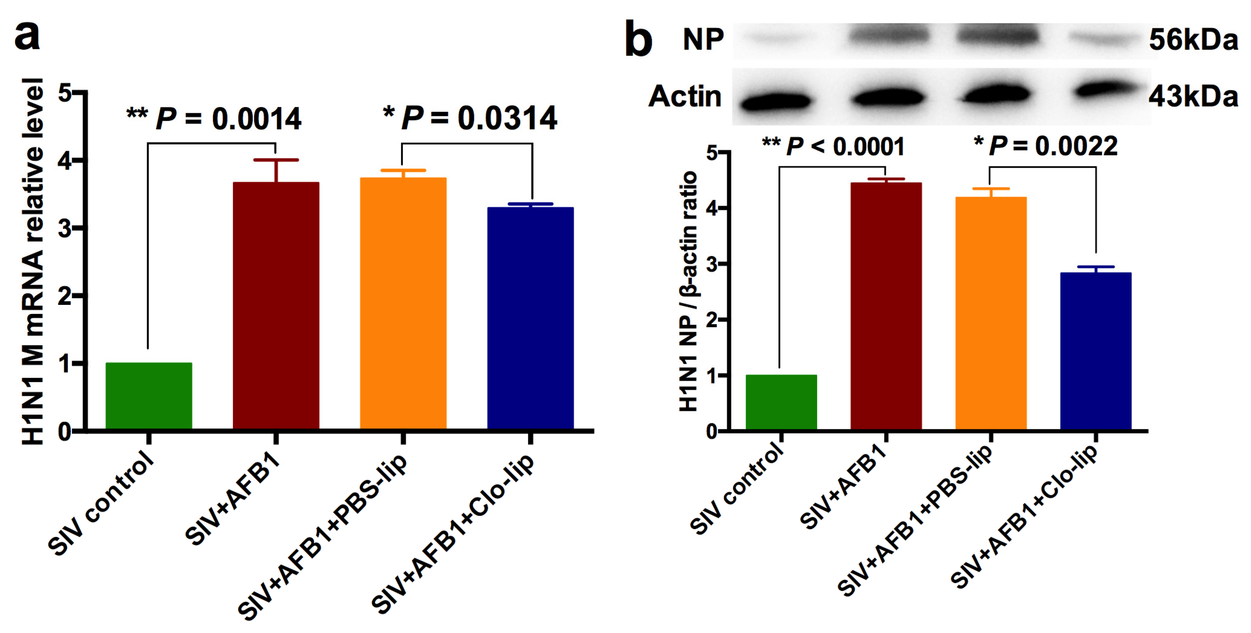 Toxins 15 00067 g008 Toxins 15 00067 g008
