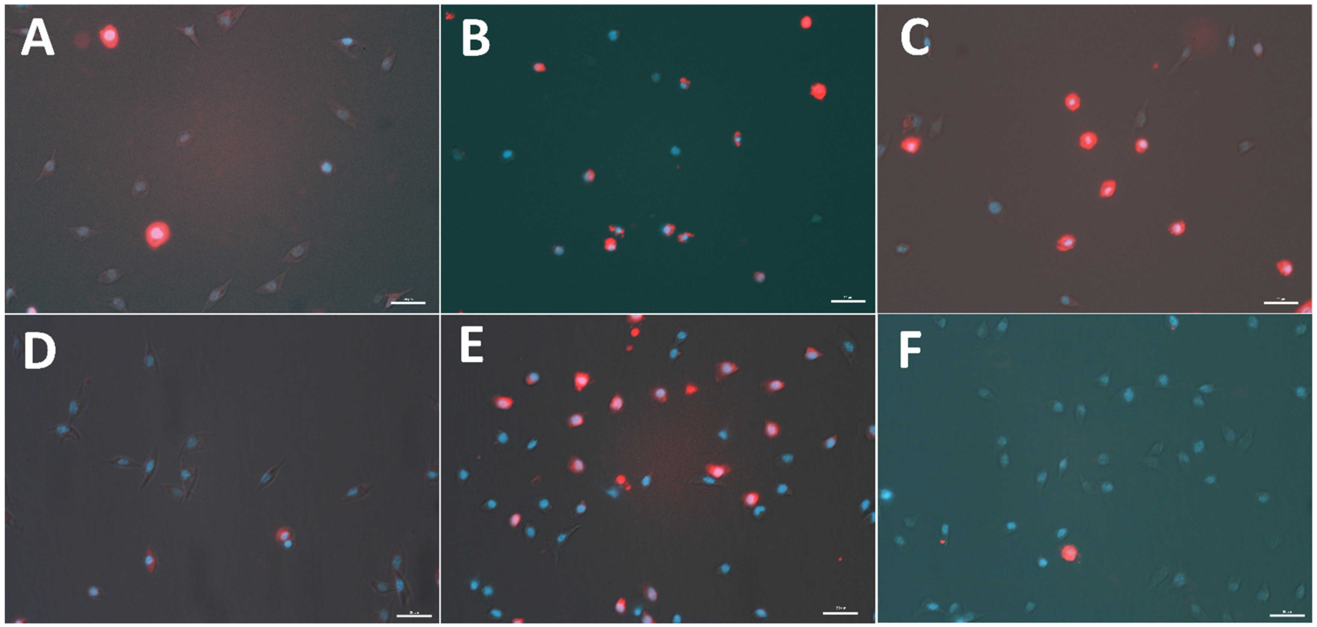 Toxins 15 00068 g001 Toxins 15 00068 g001