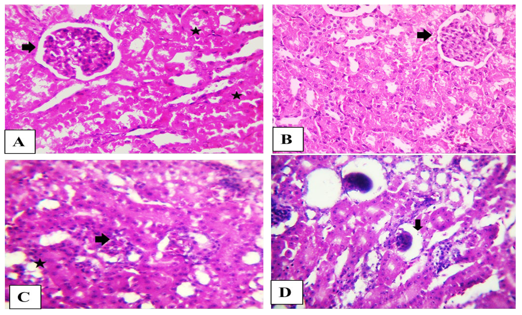 Toxins 15 00069 g003 Toxins 15 00069 g003