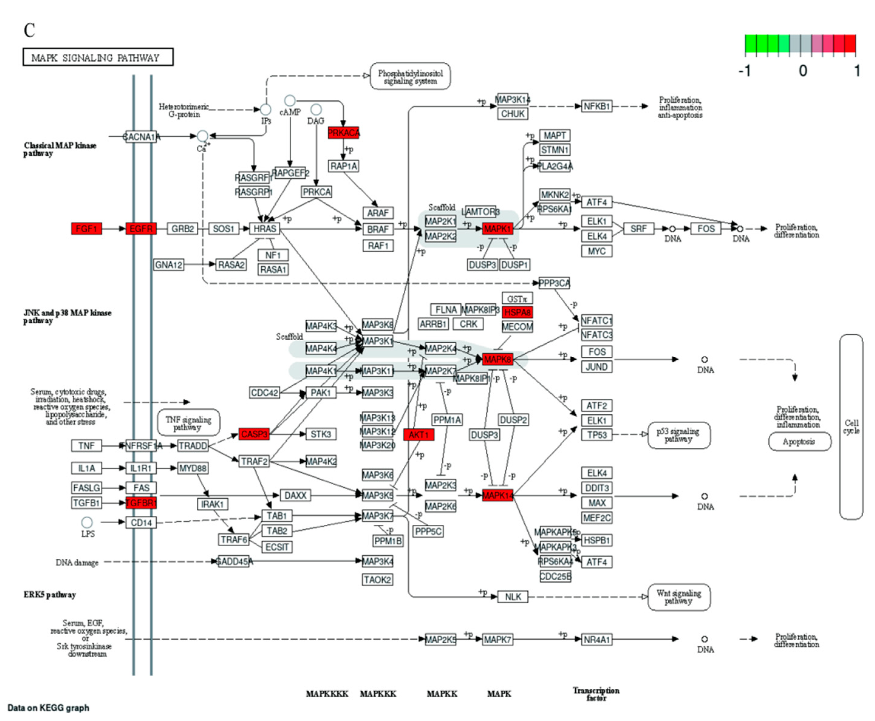 Toxins 15 00073 g009b