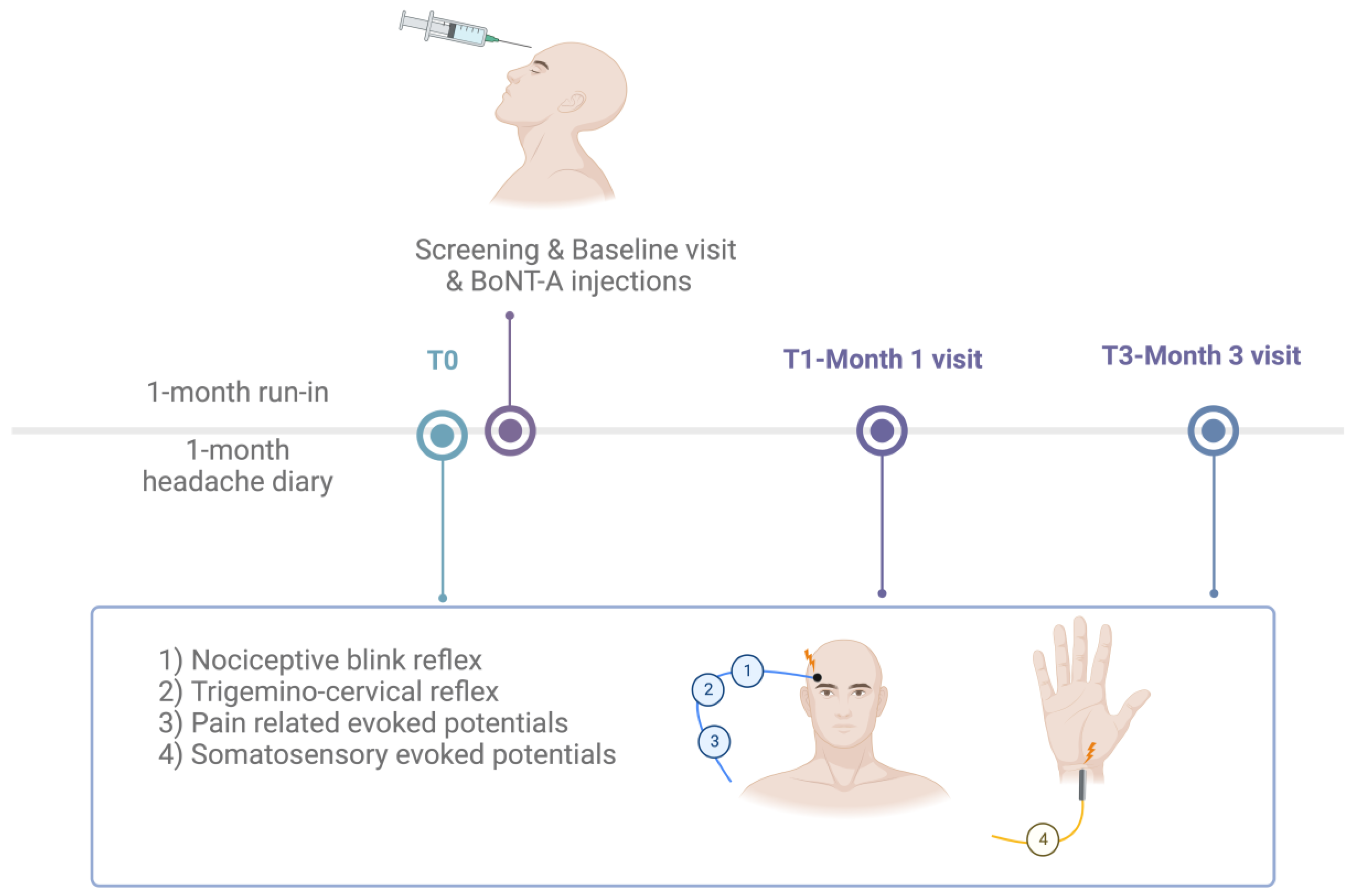 Toxins 15 00076 g003 Toxins 15 00076 g003