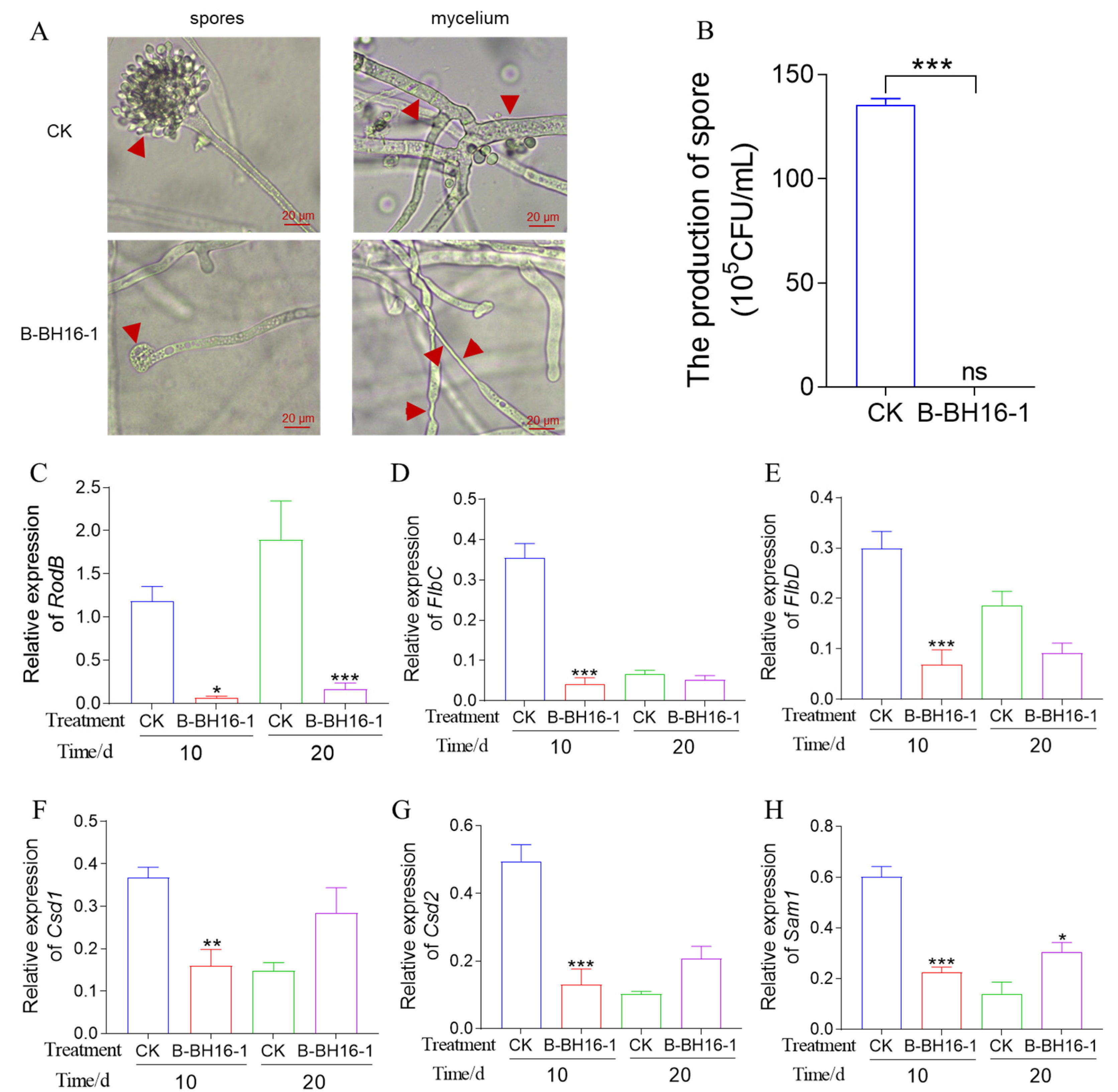 Toxins 15 00077 g003