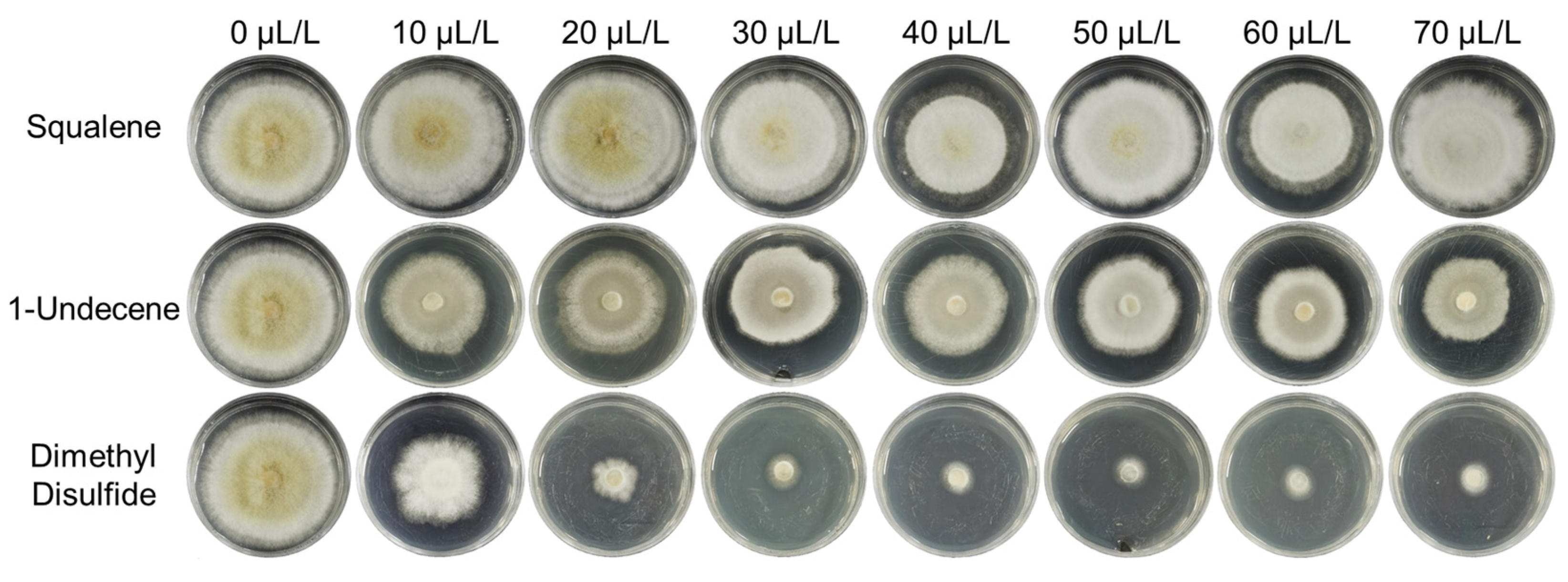 Toxins 15 00077 g006