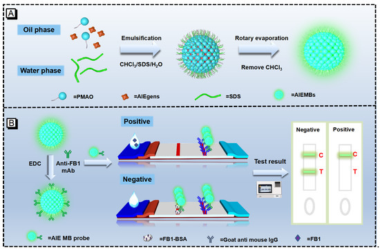 Ultrasensitive Lateral Flow Immunoassay for Fumonisin B1