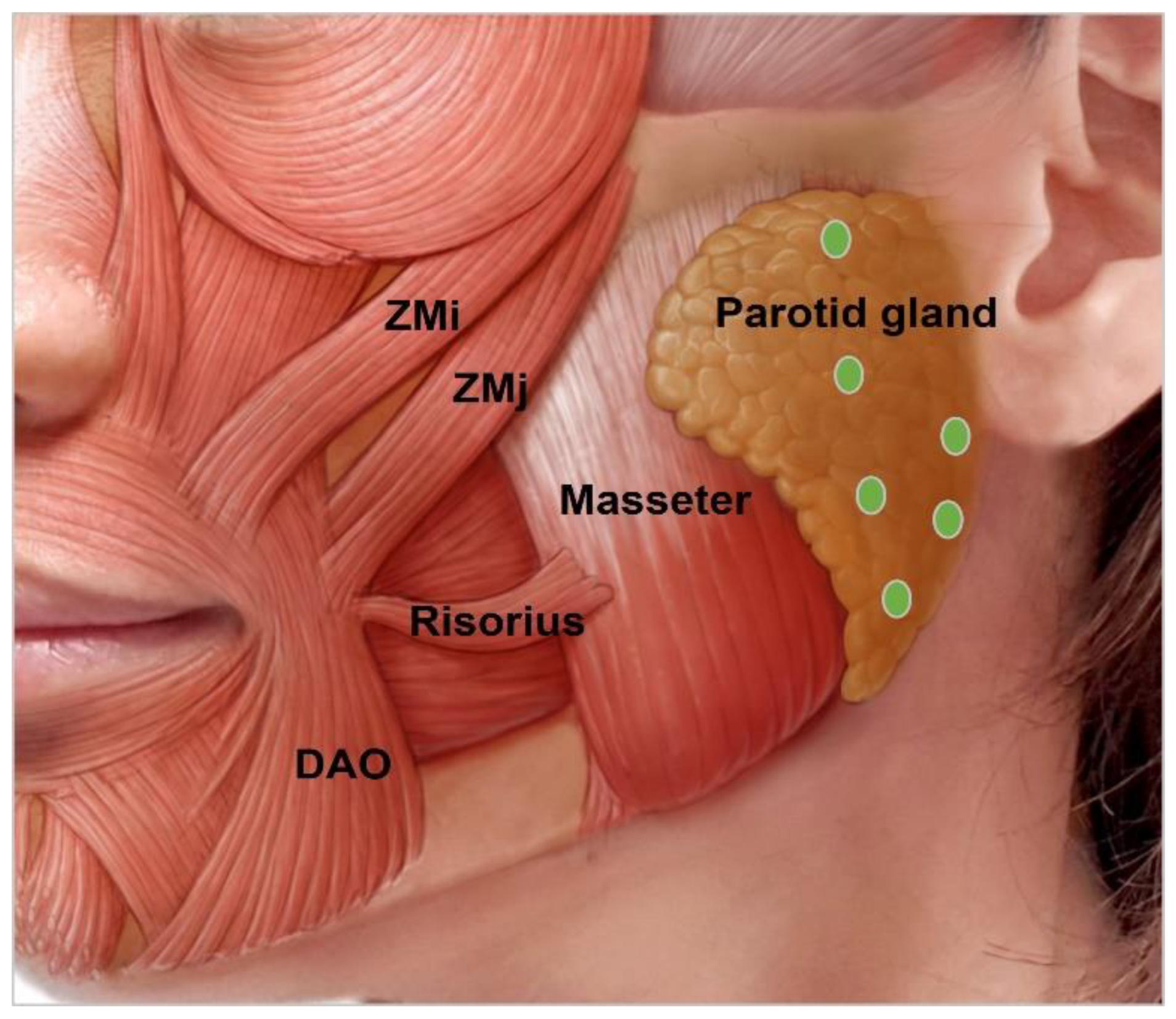 Toxins 15 00082 g009 Toxins 15 00082 g009