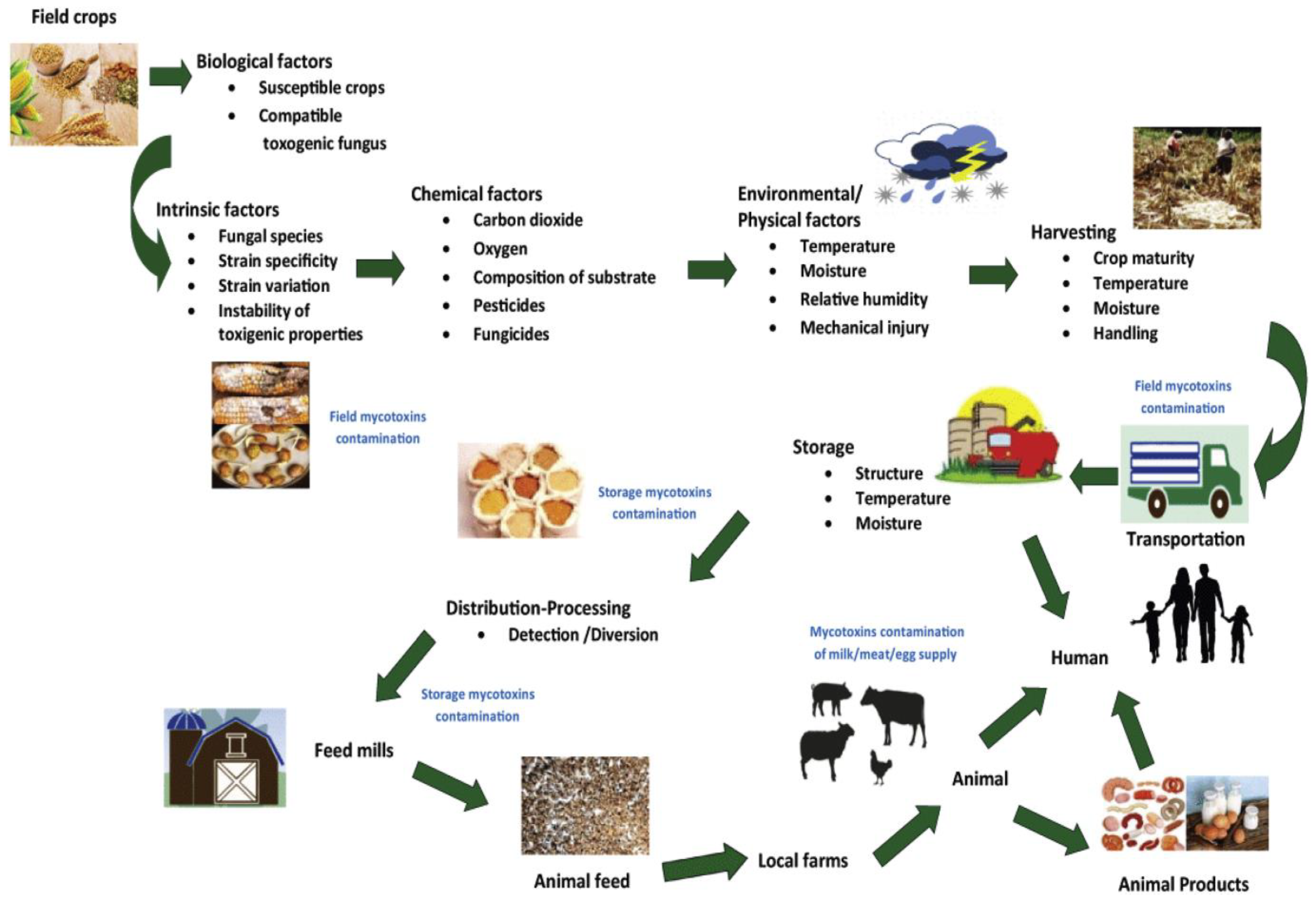 Toxins 15 00085 g002