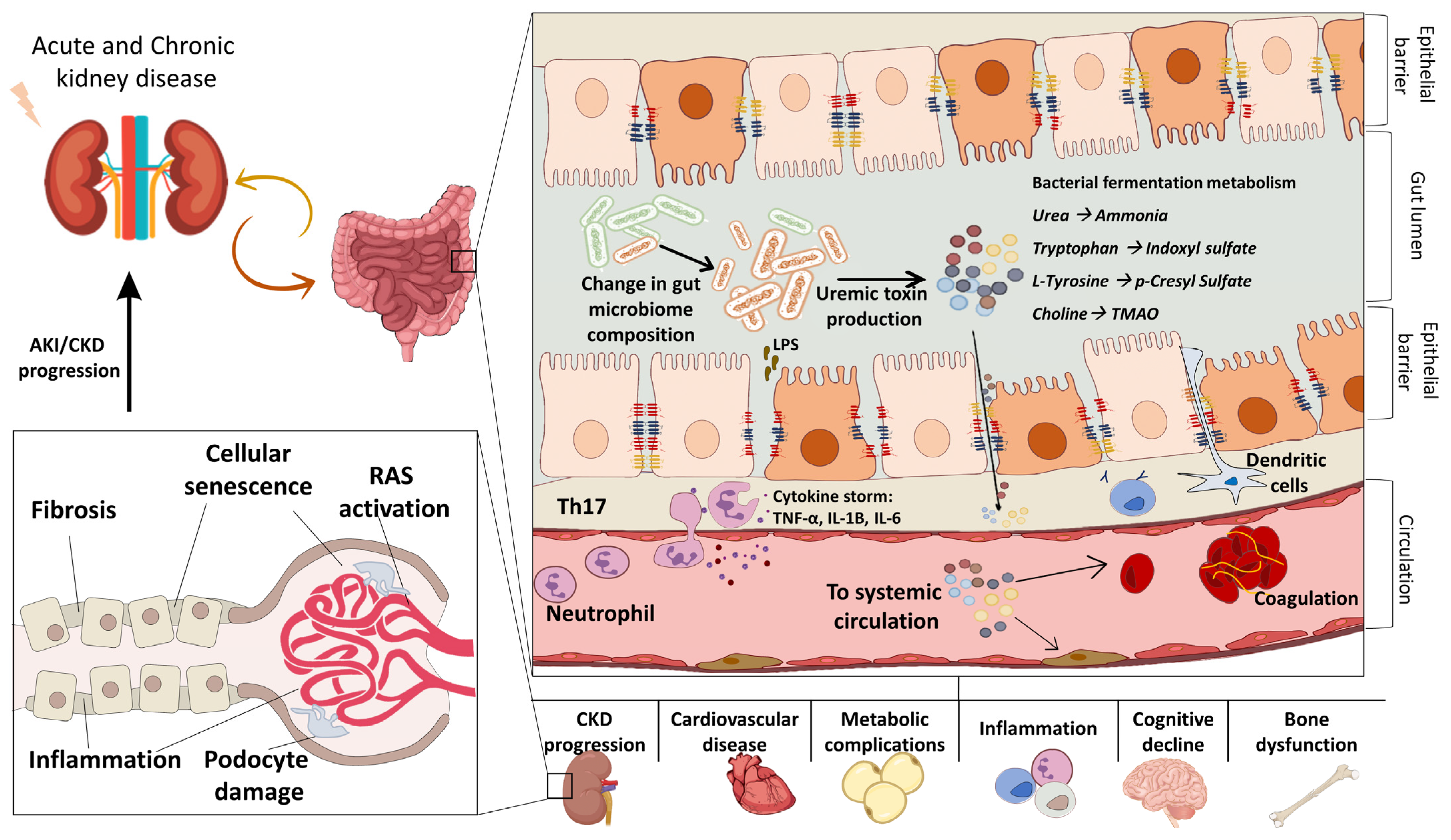 Toxins 15 00115 g001 Toxins 15 00115 g001