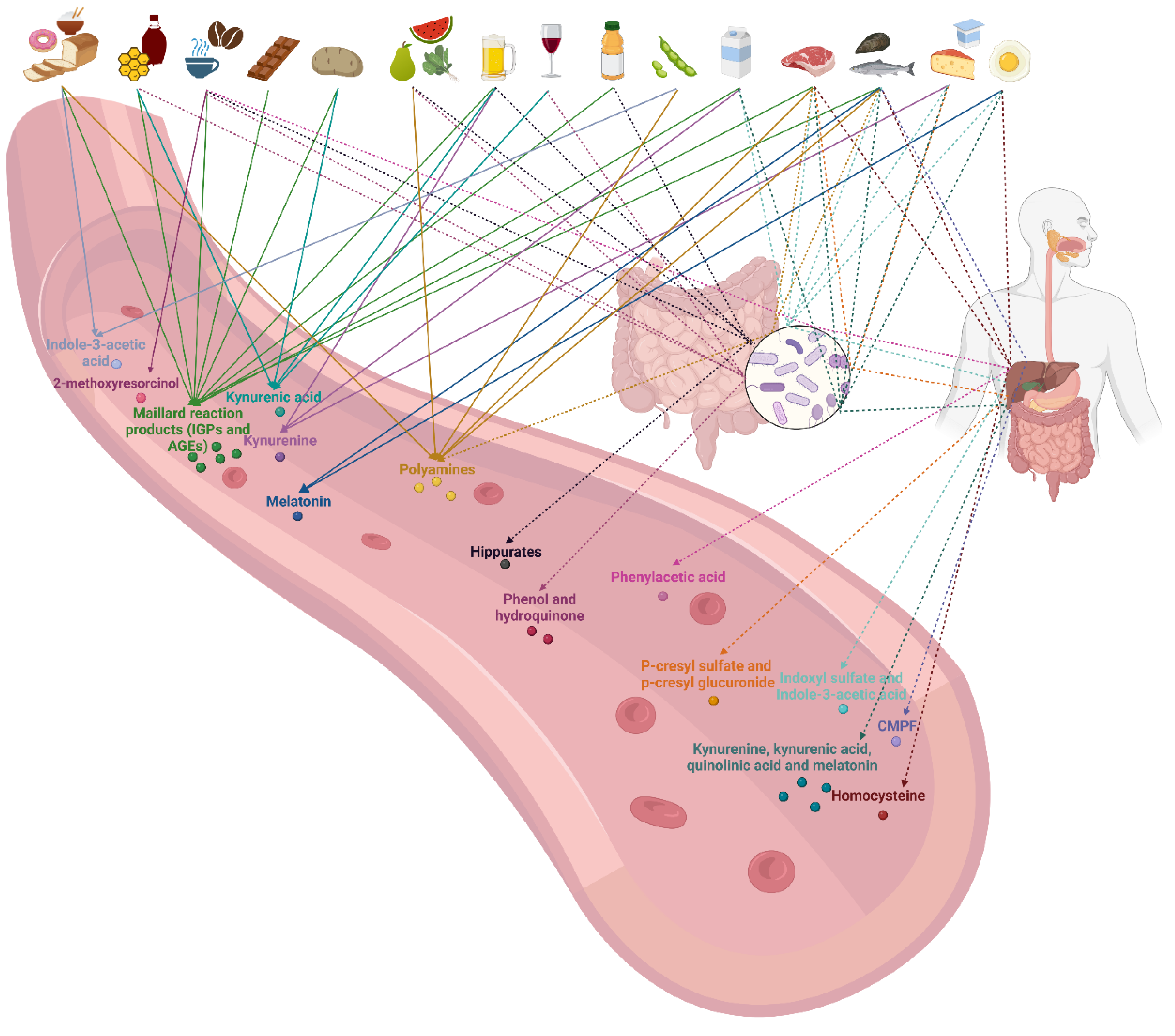 Toxins 15 00116 g001 Toxins 15 00116 g001