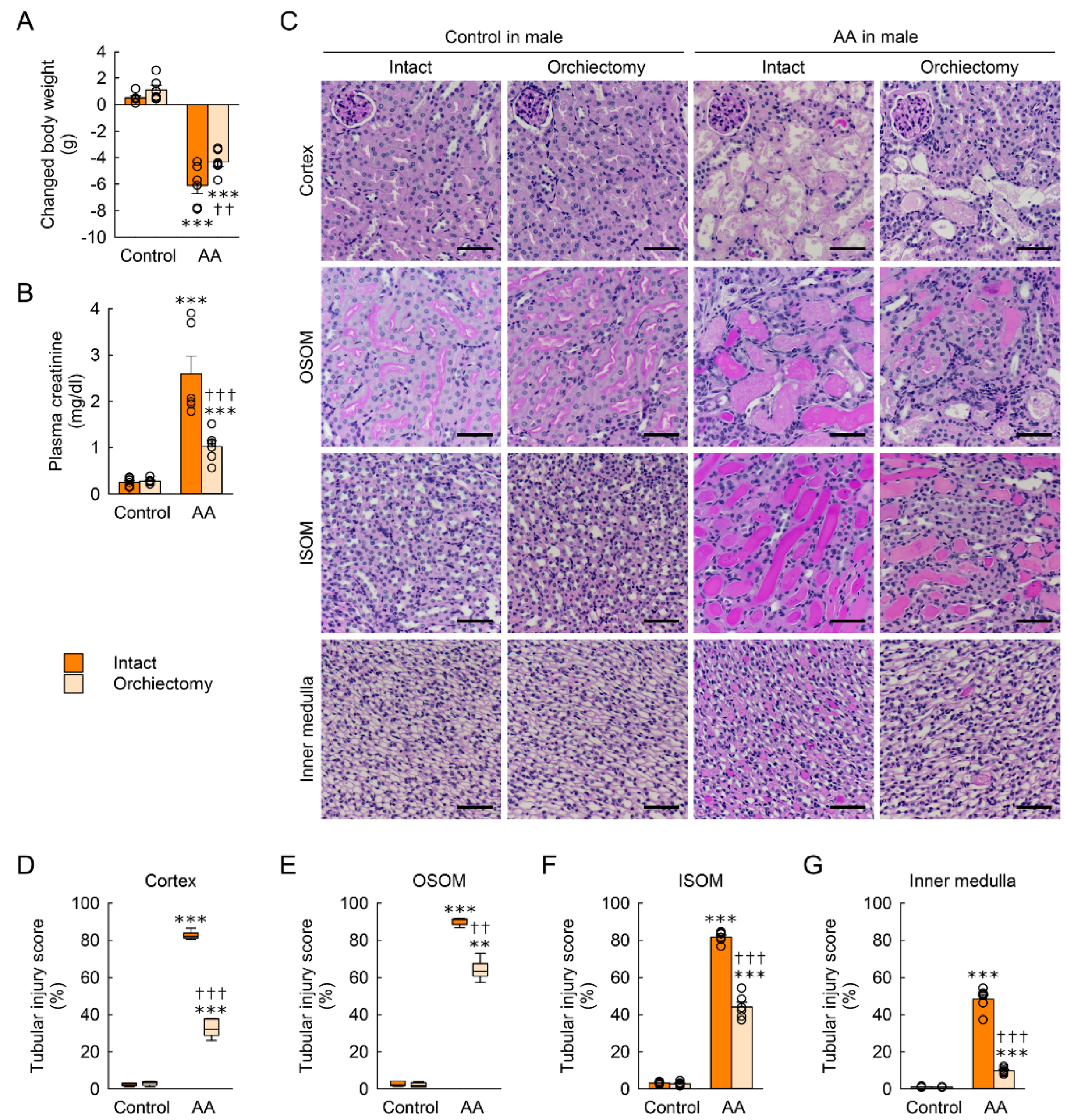 Toxins 15 00118 g003