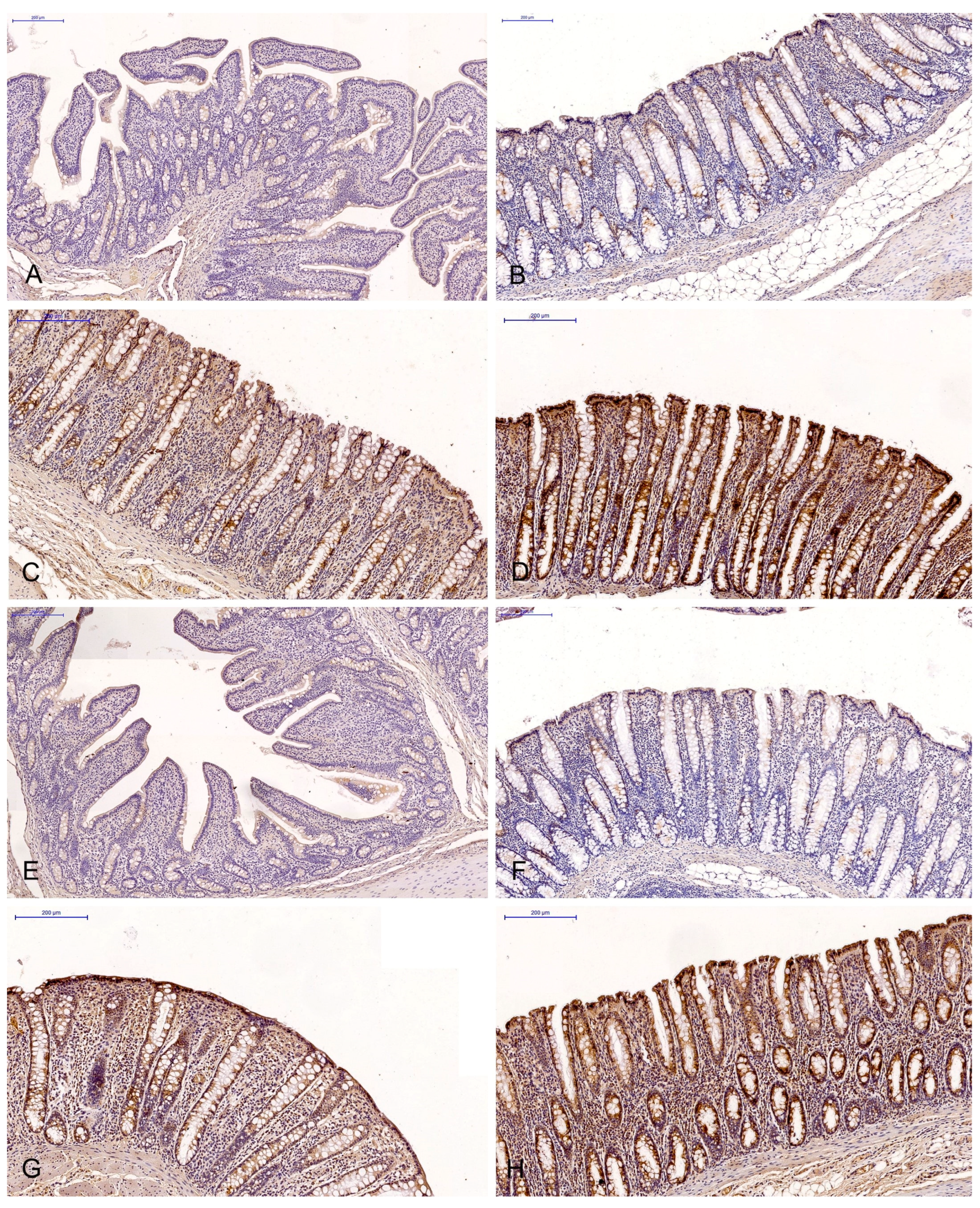Toxins 15 00122 g001 Toxins 15 00122 g001
