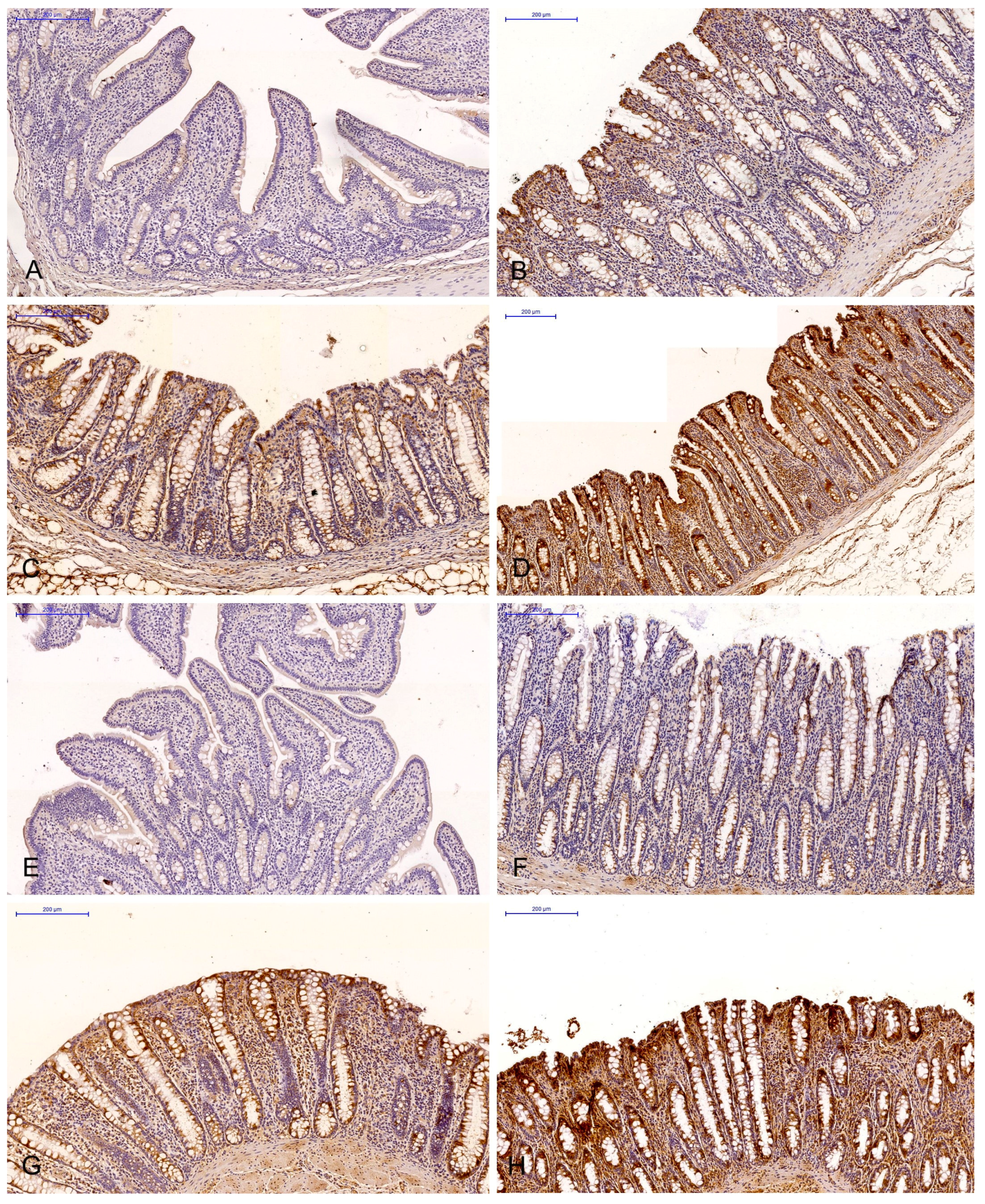 Toxins 15 00122 g002 Toxins 15 00122 g002