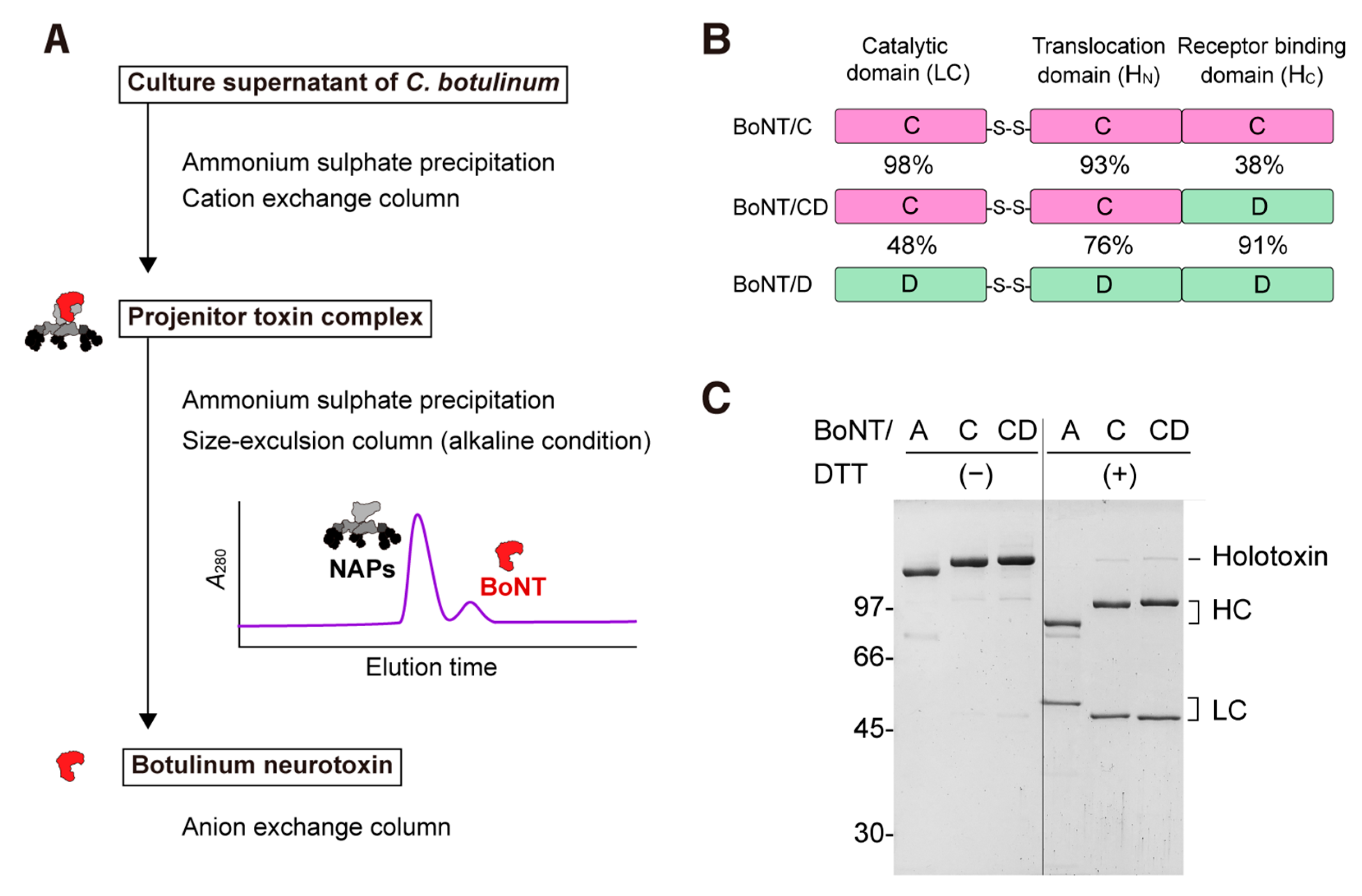 Toxins 15 00123 g001