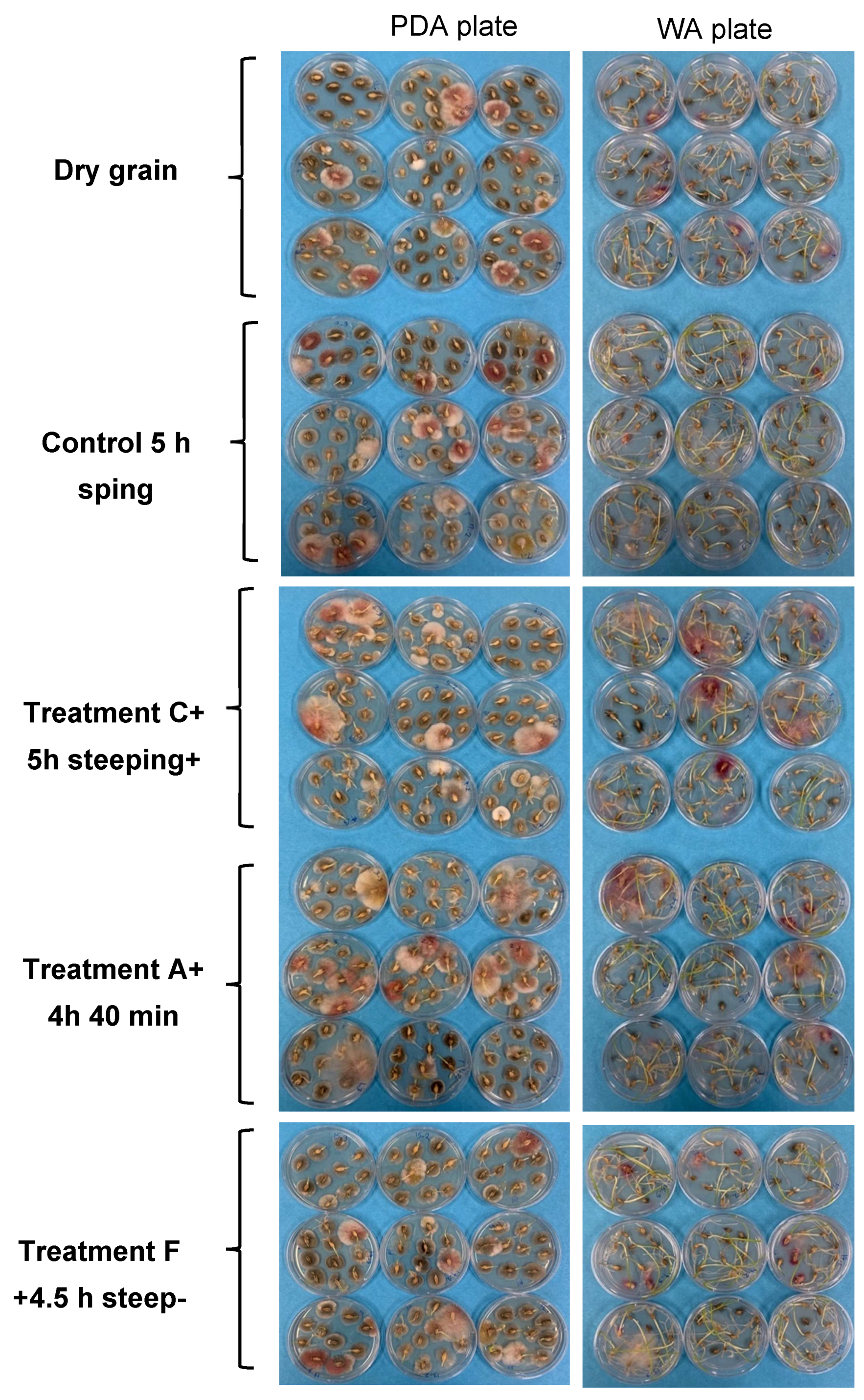 Toxins 15 00124 g002